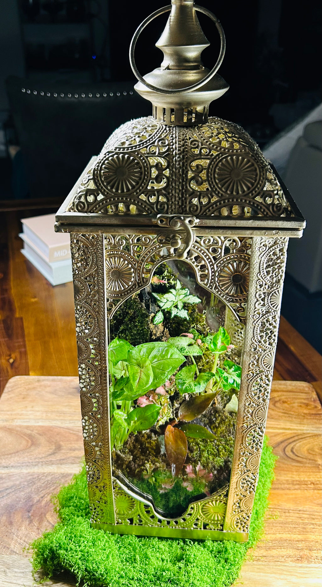 Whispers of the Hill/Turkish Lantern Terrarium