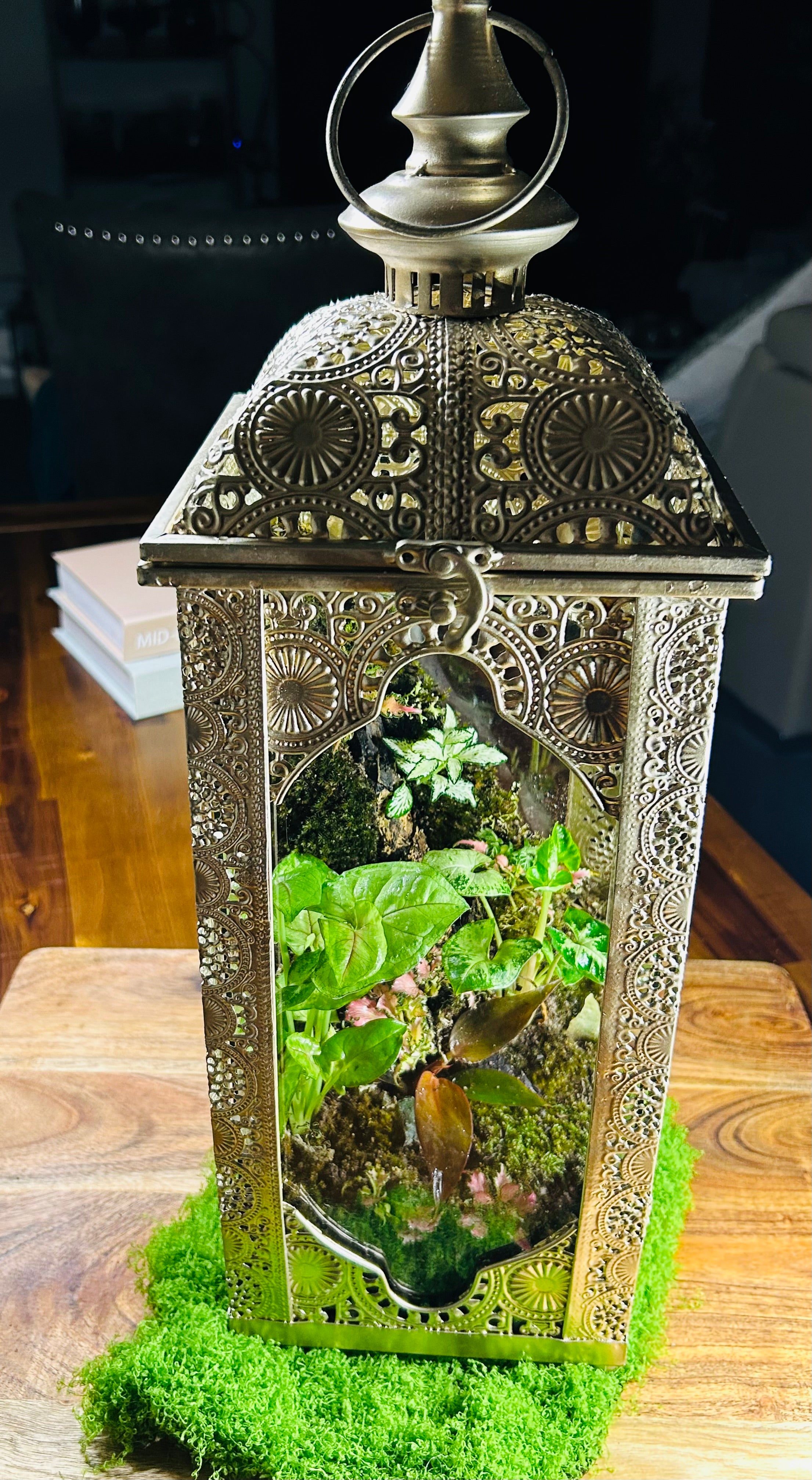 Whispers of the Hill/Turkish Lantern Terrarium