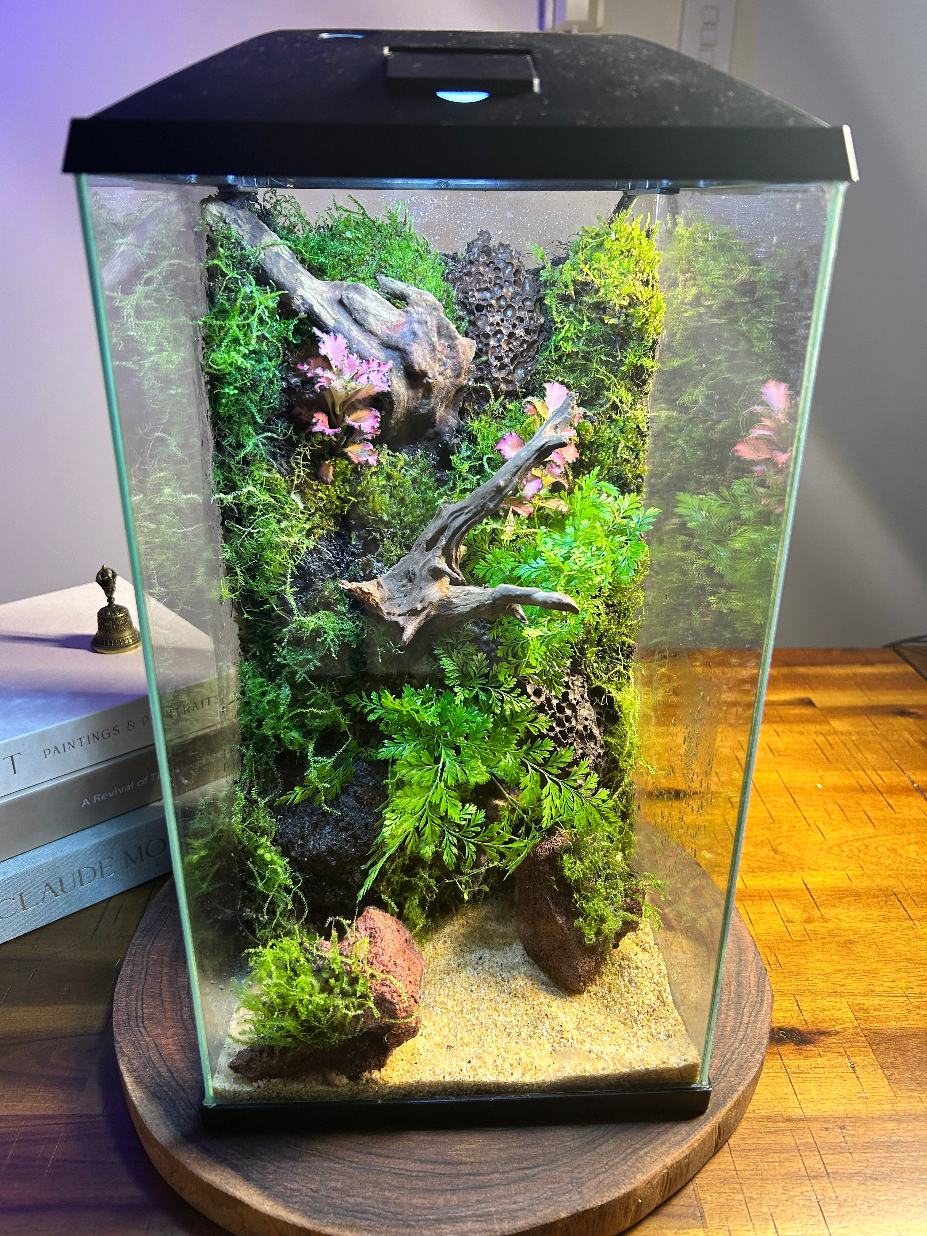 Second Life — Vertical Living Terrarium