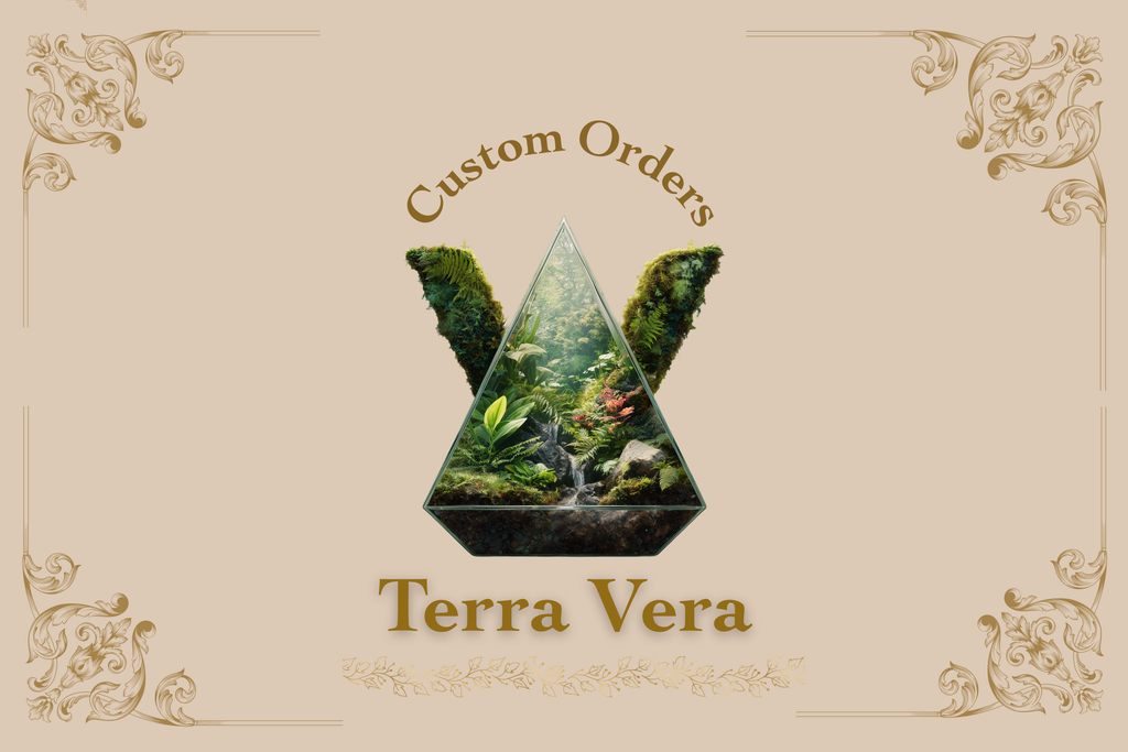 Custom Terrarium – Designed Just for You