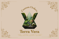 Custom Terrariums