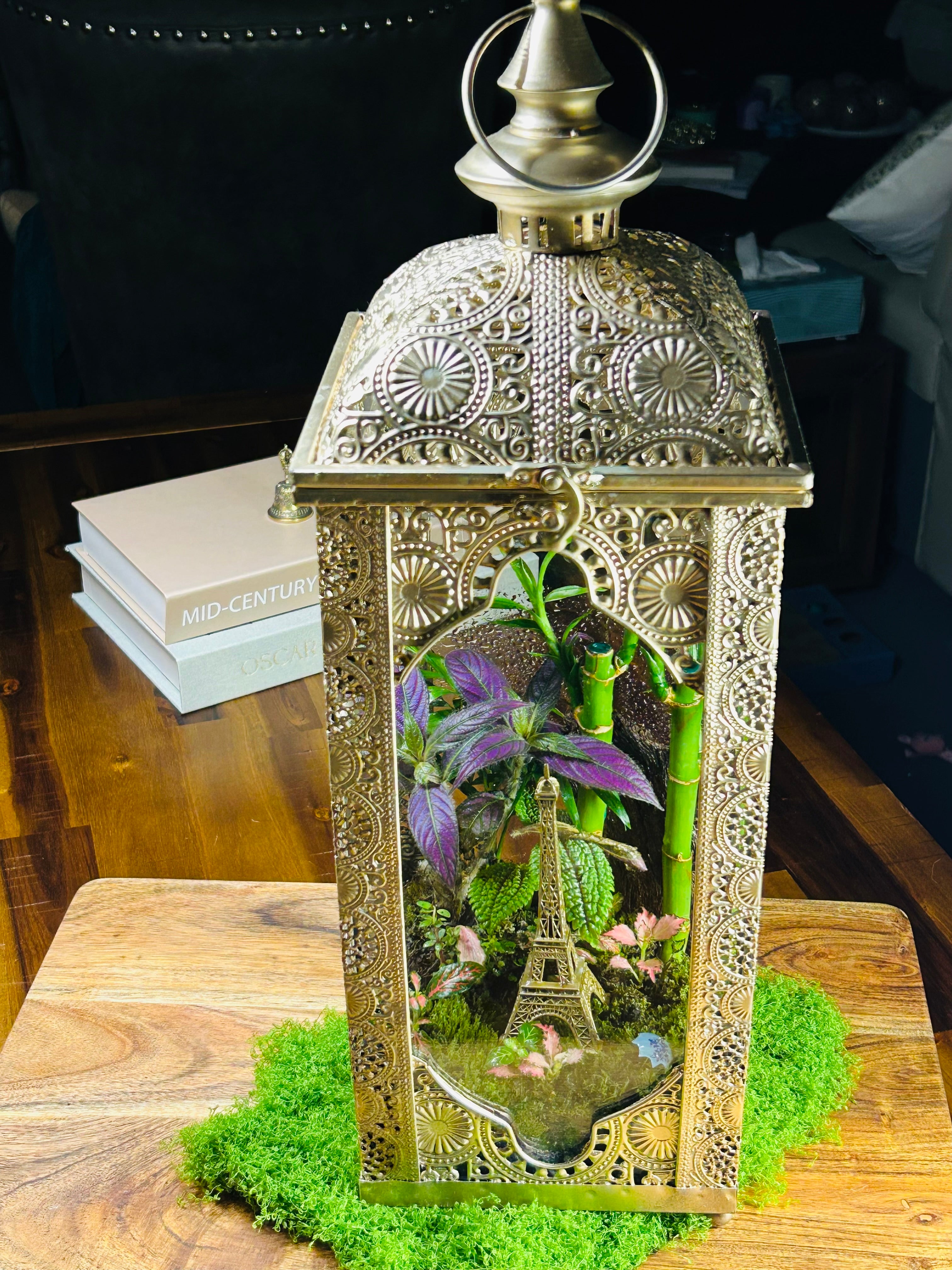 Paris in Bloom/Turkish  Lantern Open Terrarium
