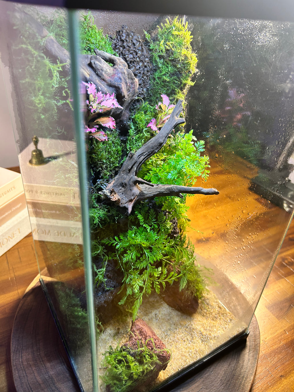 Second Life — Vertical Living Terrarium