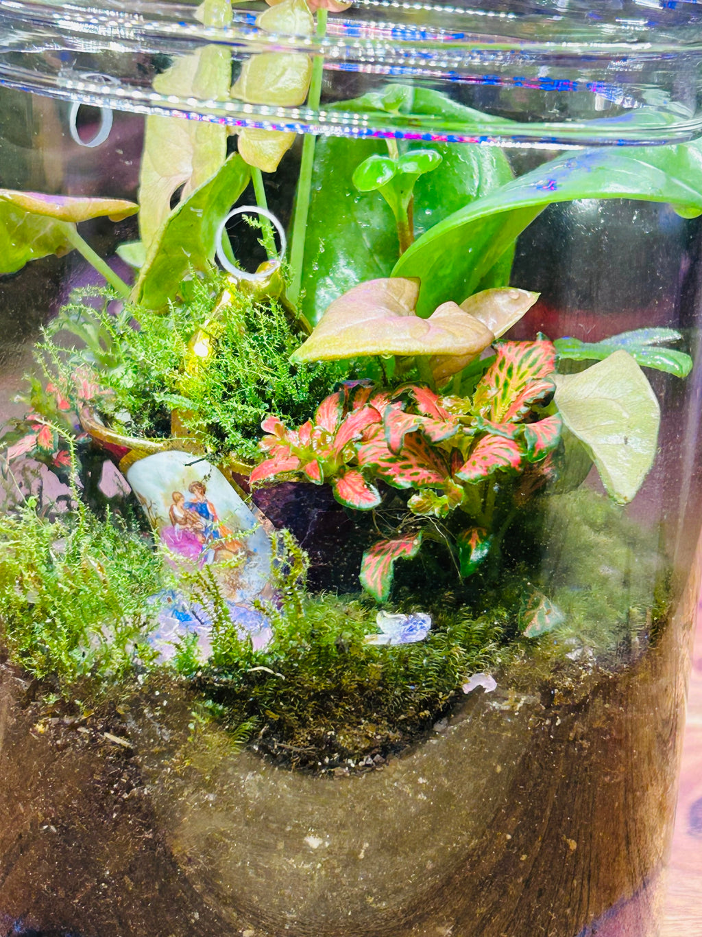 Antique Limoges Porcelain Basket Terrarium with Glowing Pink Pebbles