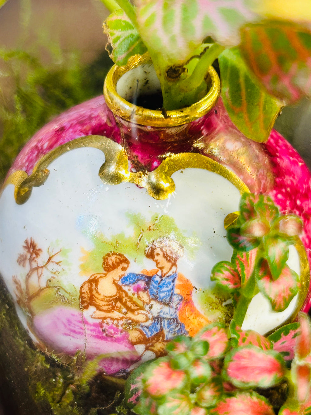 Piano Terrarium-Antique Limoges Vase Miniature Garden Handmade Gift Sydney