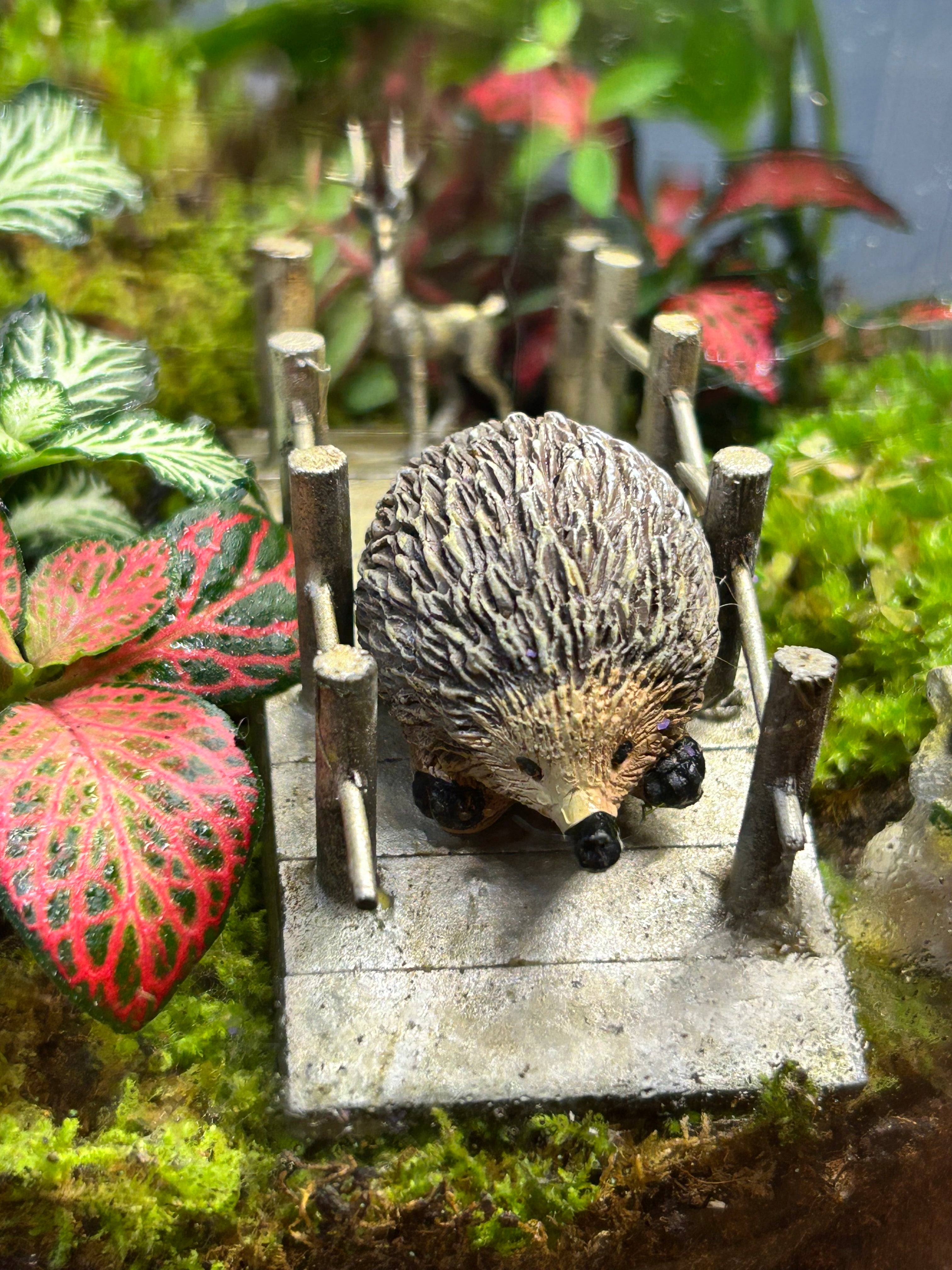 The Forest Crossing | Handmade Living Terrarium