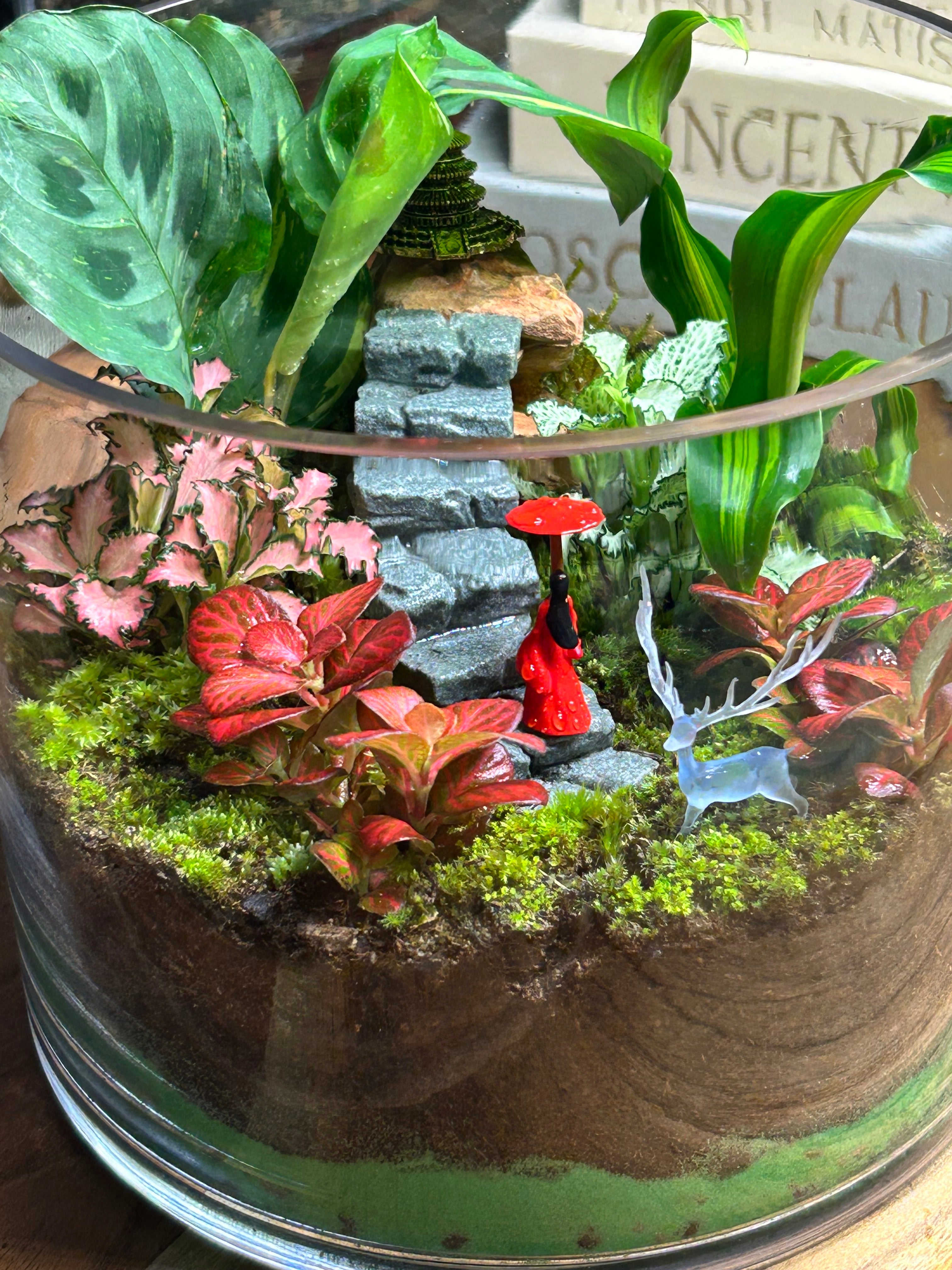 The Hidden Temple Journey – Lady in Red Terrarium