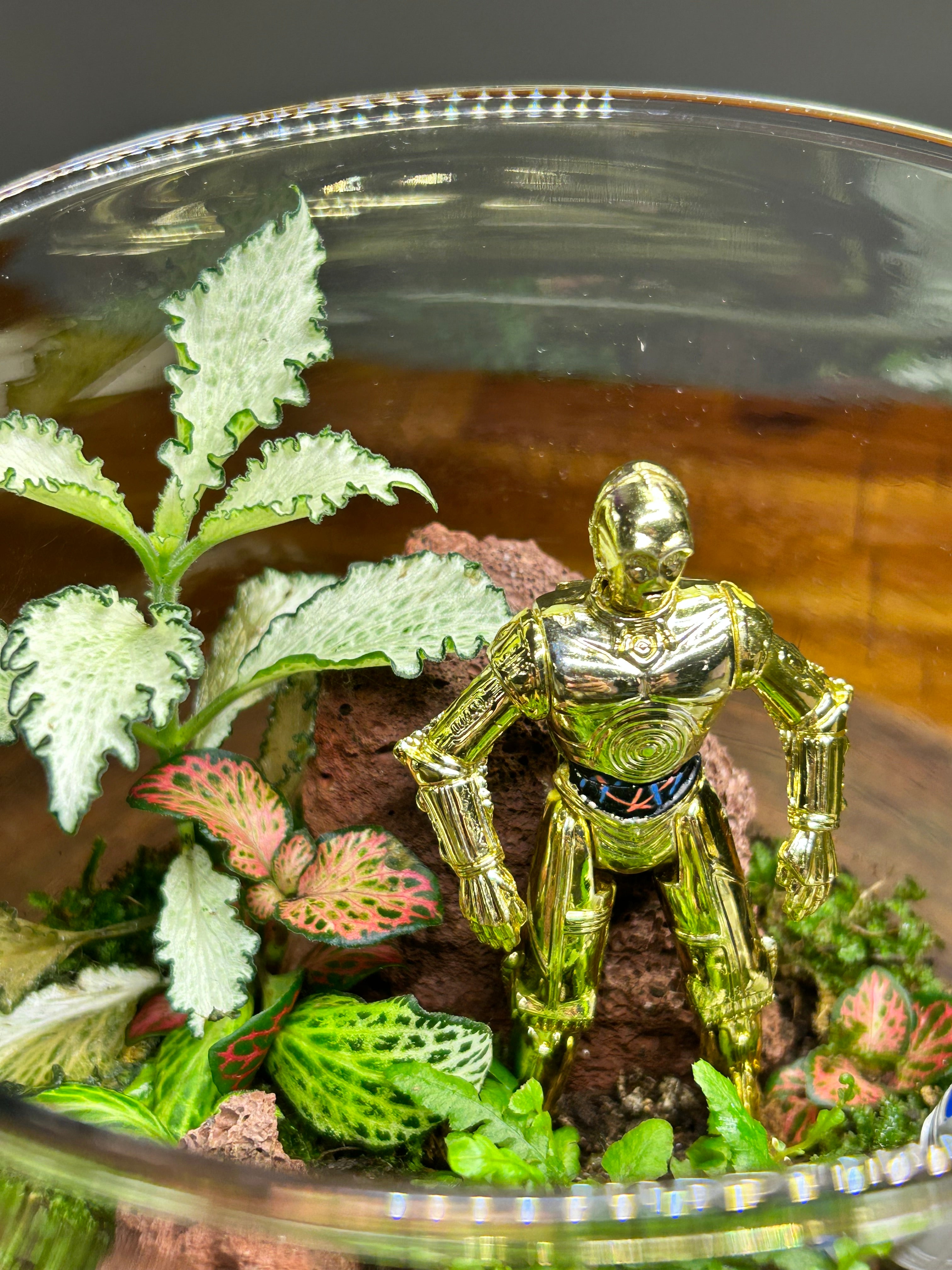 Galaxy Guardians: A Living Miniature World – Handmade in Sydney