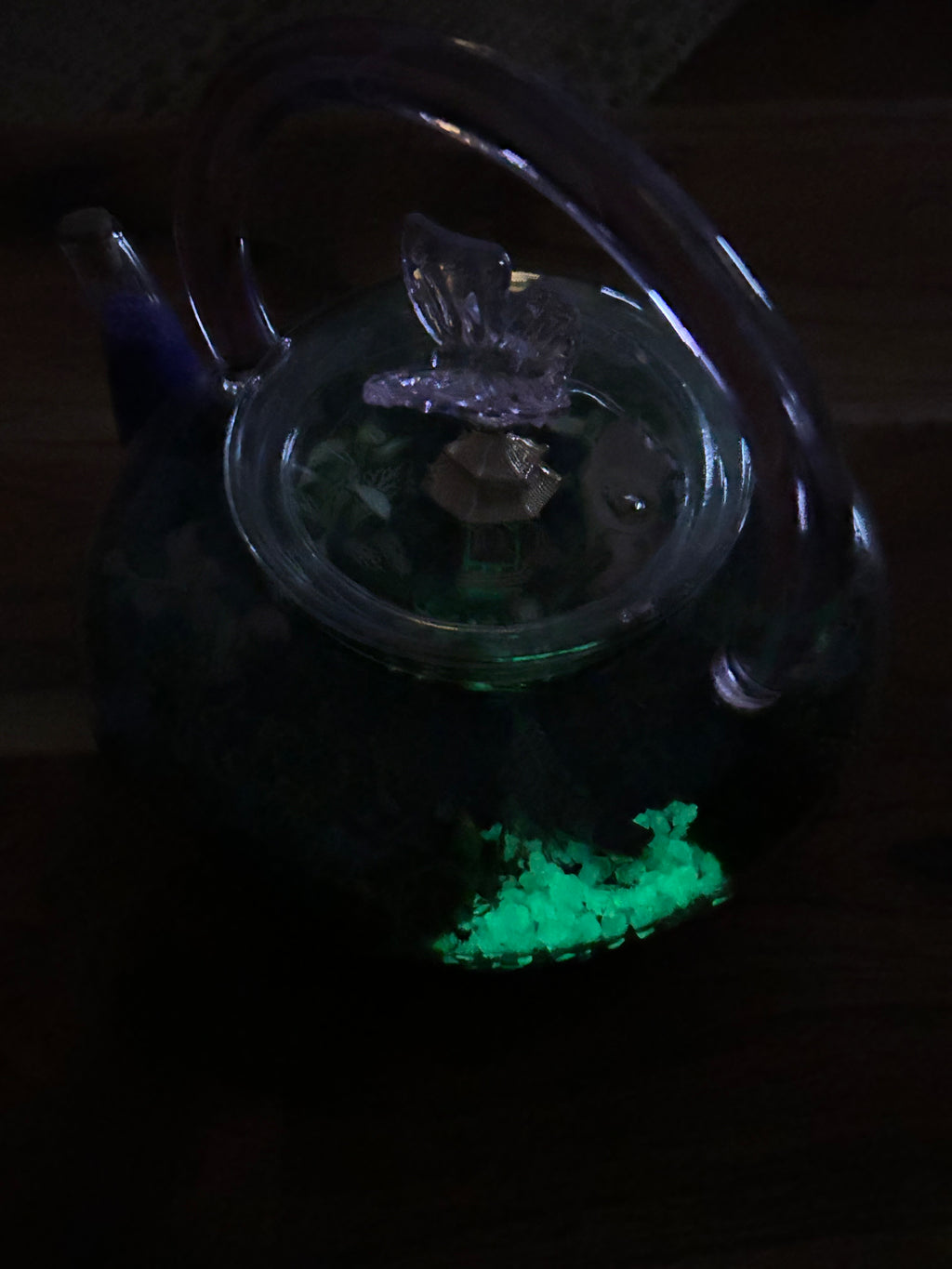 Glow in the Dark Butterfly Teapot with Temple & Boat Terrarium