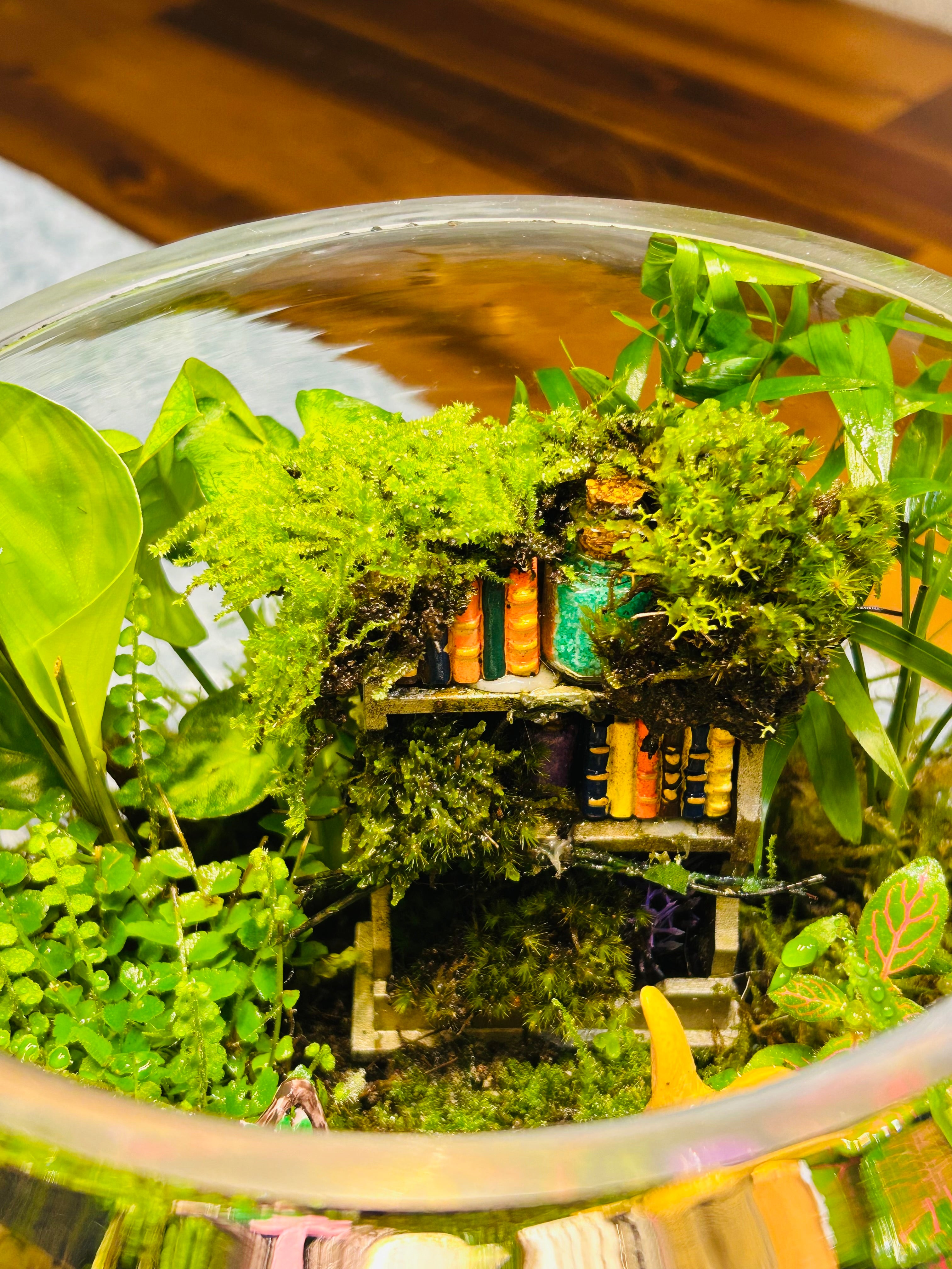 Library Terrarium with Bunny & Hedgehog