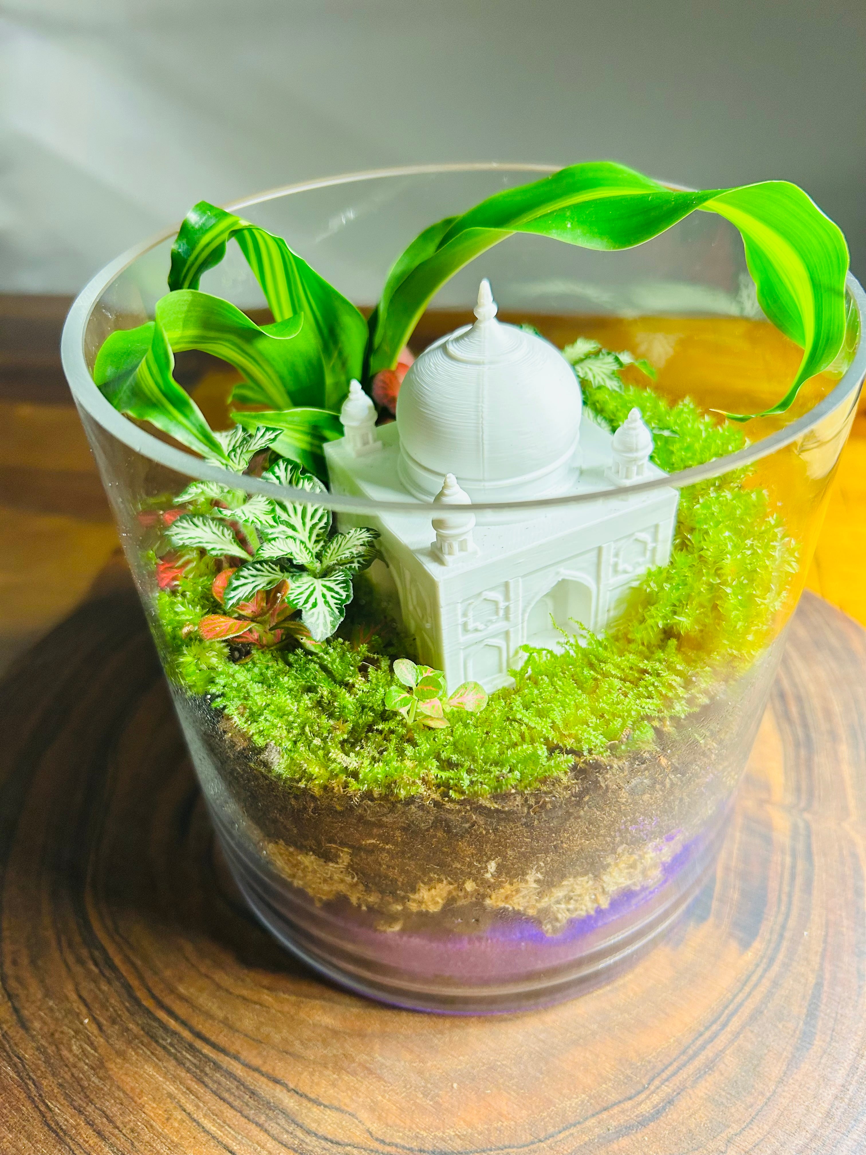 The Palace Garden | Taj Mahal-Inspired Terrarium