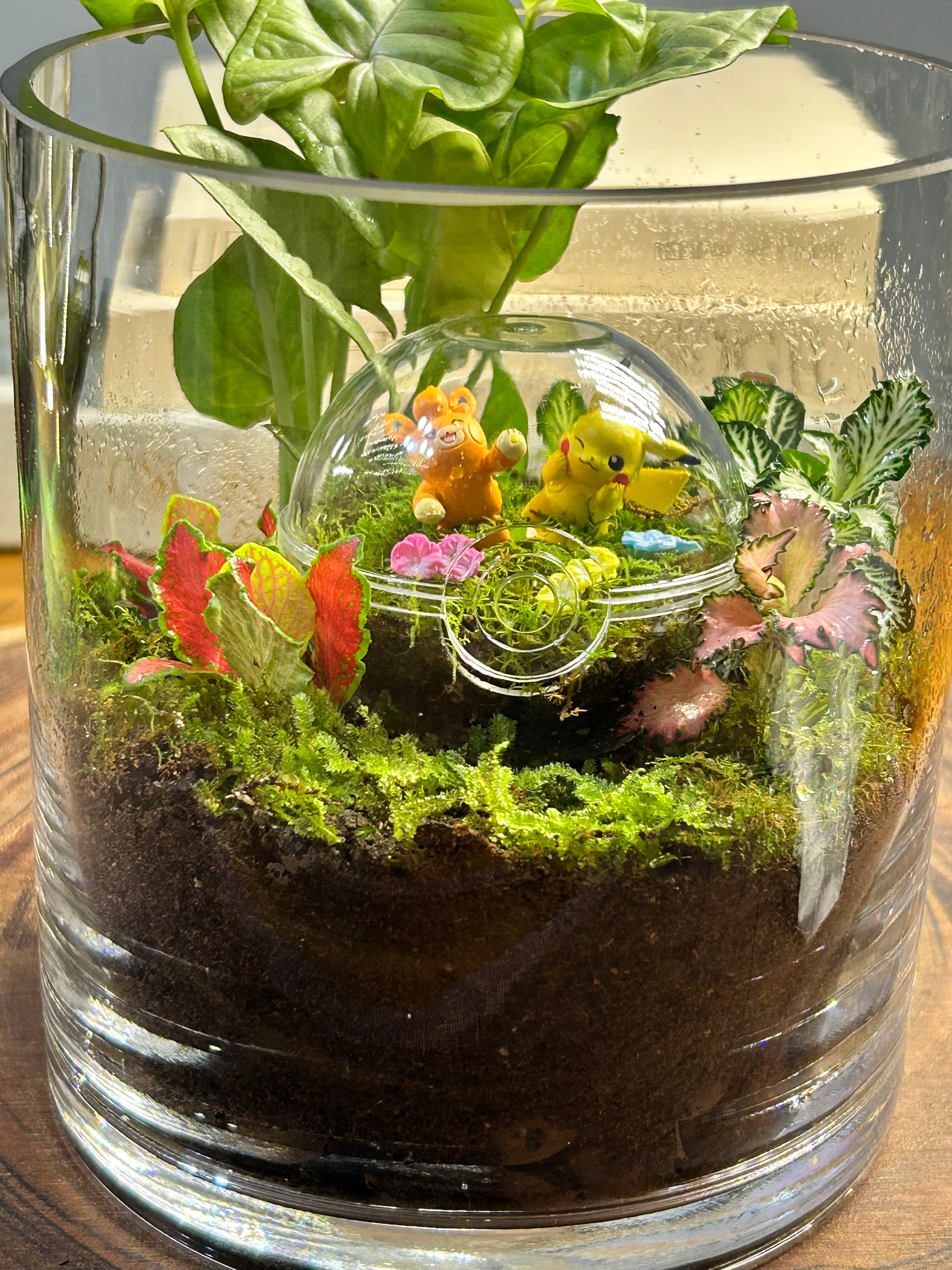 Hidden Forest Poké Ball Terrarium | Handmade Living Miniature World