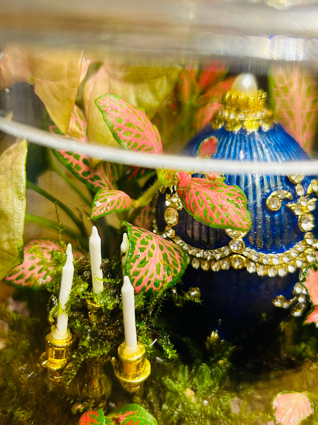 Fabergé Egg Terrarium