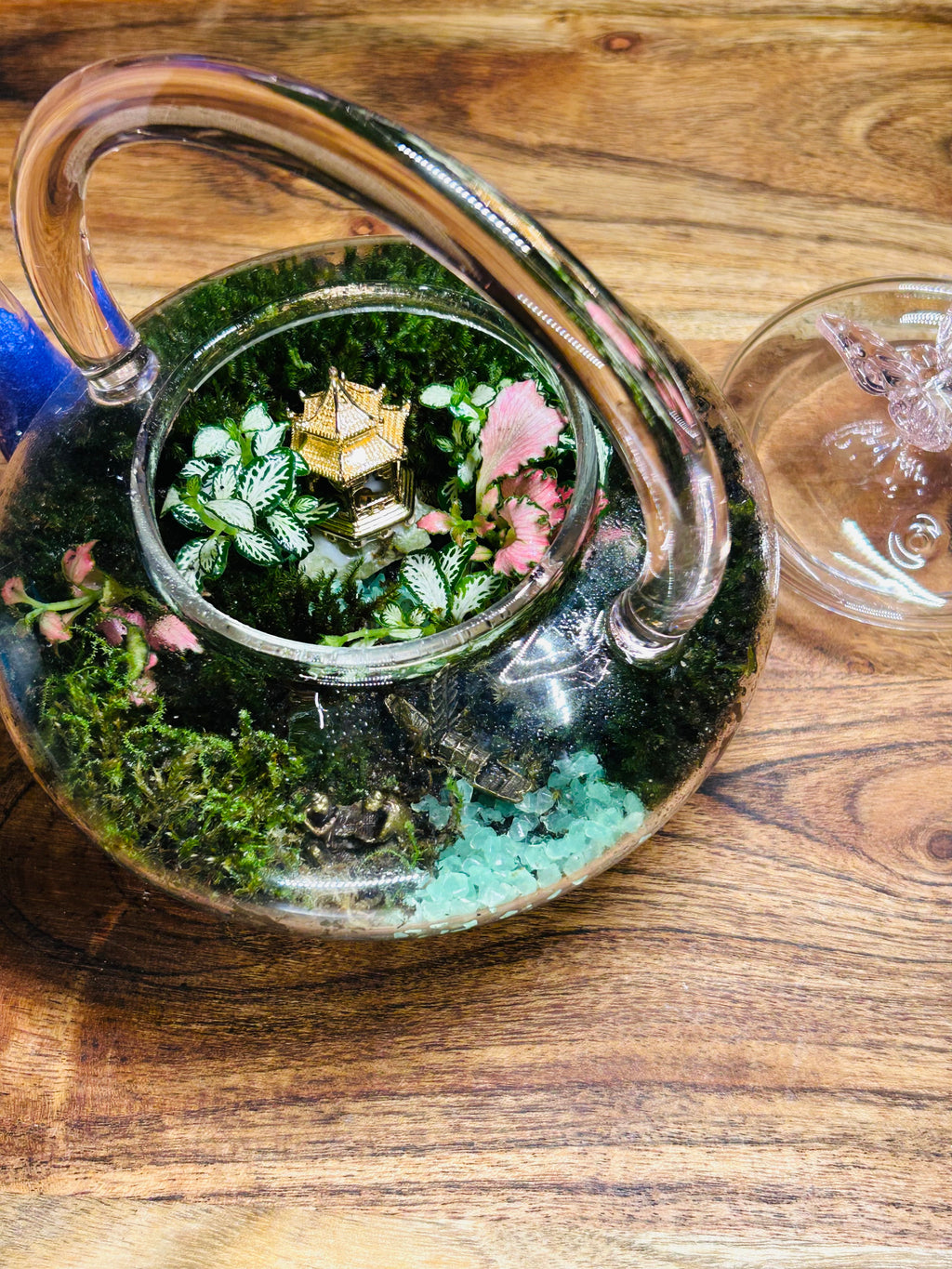 Glow in the Dark Butterfly Teapot with Temple & Boat Terrarium
