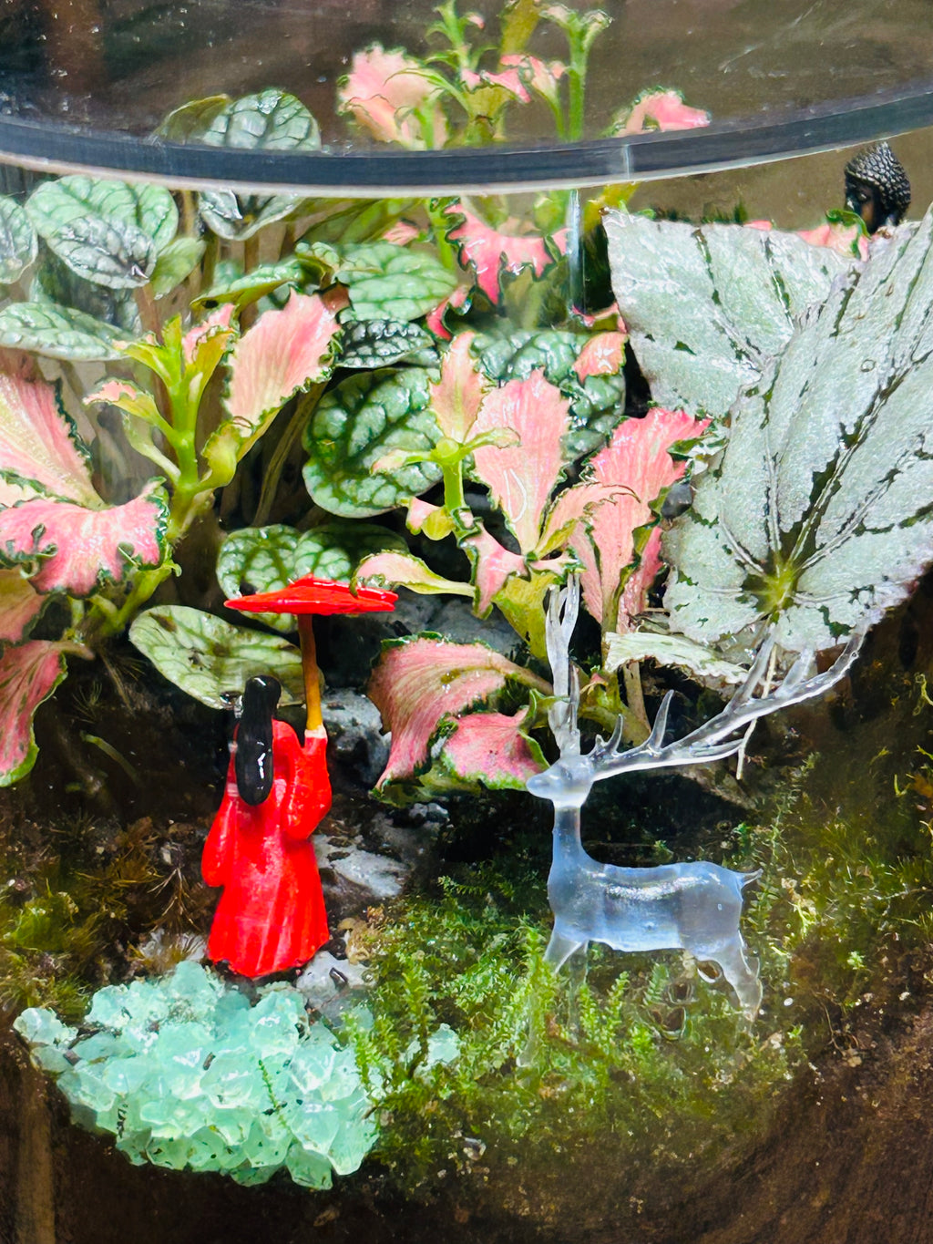 Lady in Red & Buddha Glow in the Dark Terrarium