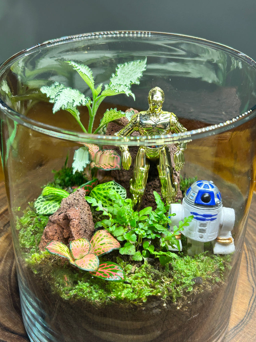 Galaxy Guardians: A Living Miniature World – Handmade in Sydney