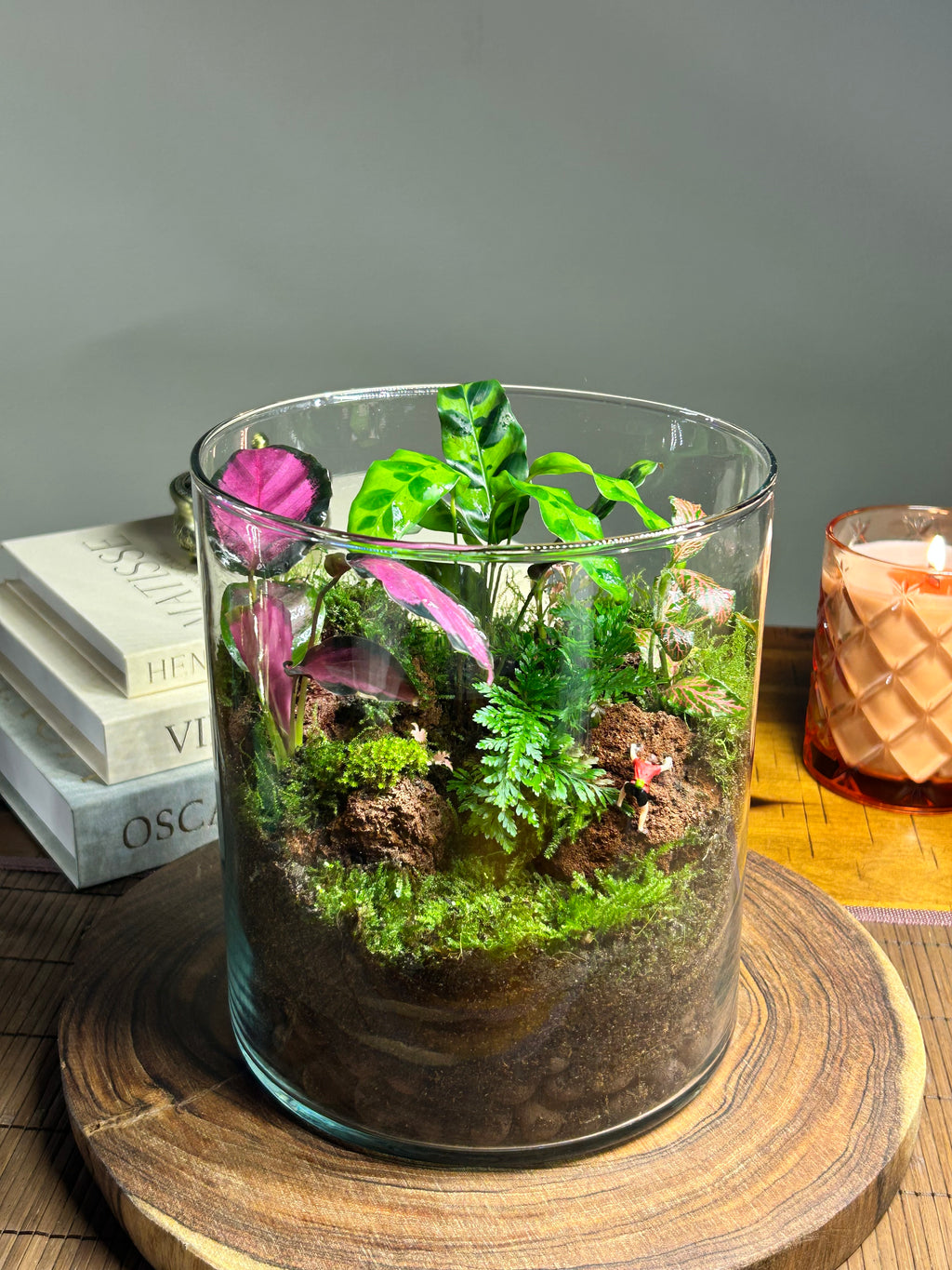 The Summit – Living Adventure Terrarium