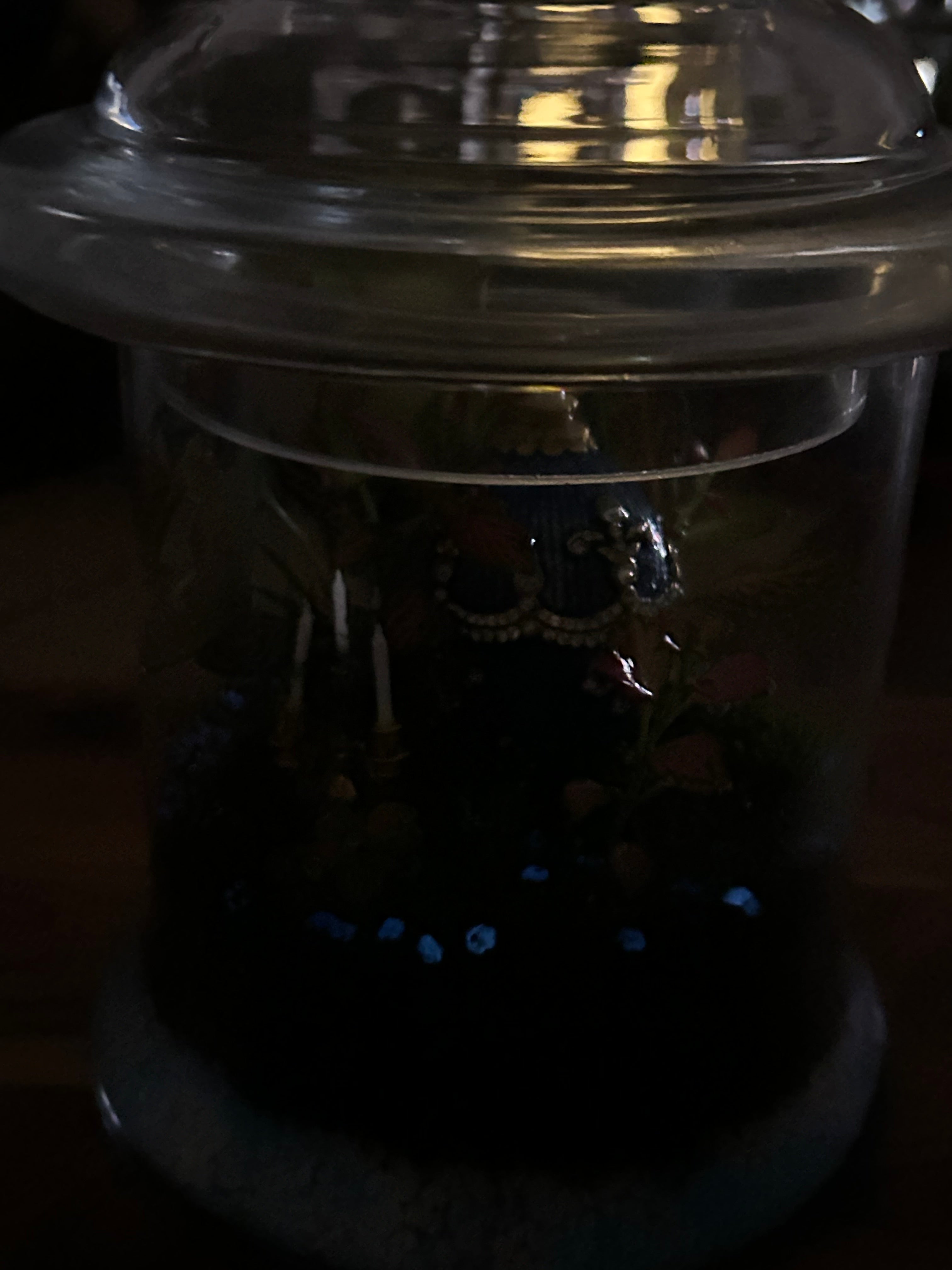 Fabergé Egg Terrarium