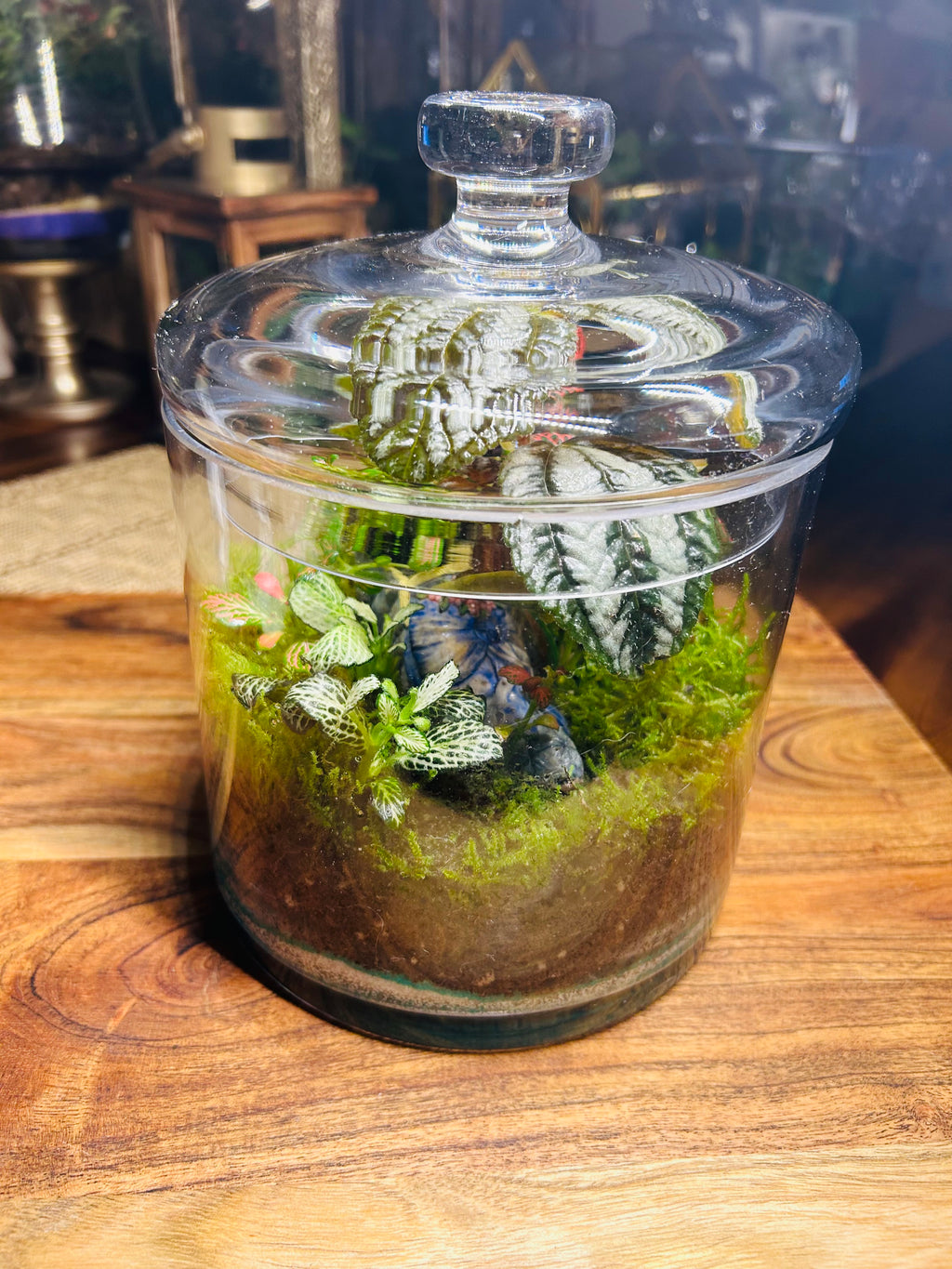 Vintage Shoe Terrarium