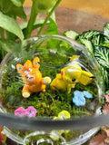 Hidden Forest Poké Ball Terrarium | Handmade Living Miniature World