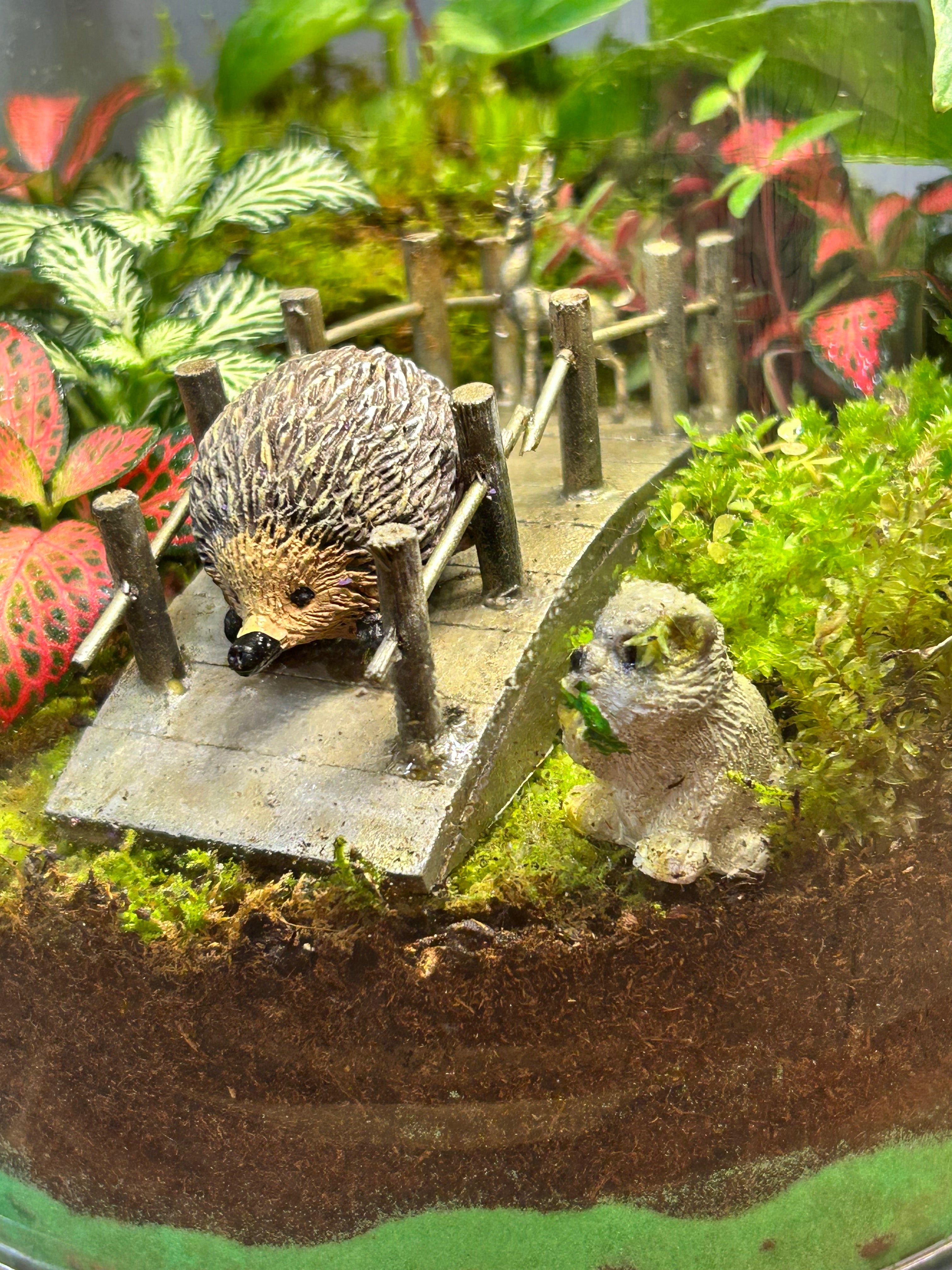 The Forest Crossing | Handmade Living Terrarium