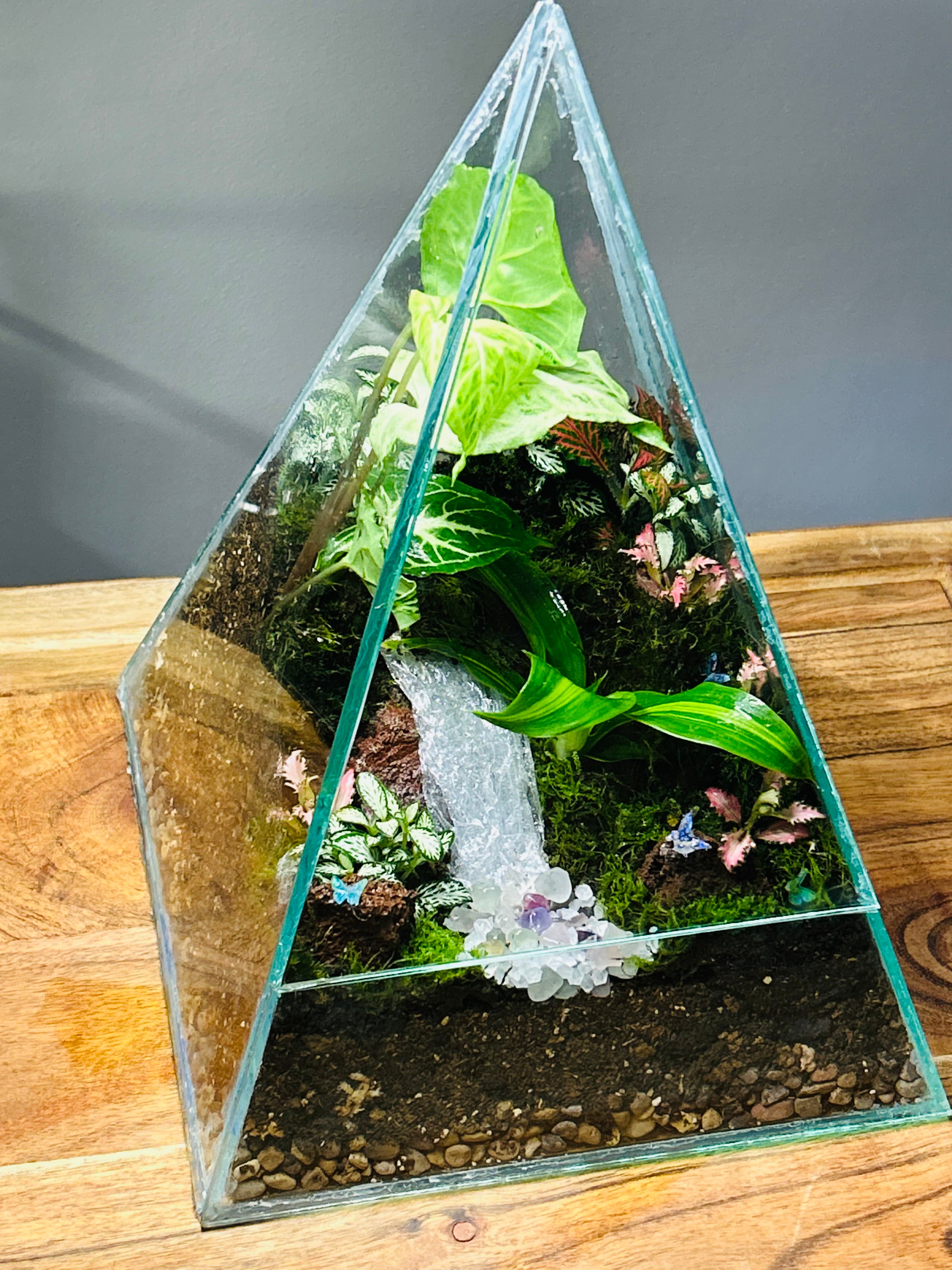Crystal Pyramid Terrarium – Handmade Living Miniature World (Sydney)  You don’t buy this terrarium. You adopt a tiny living world.