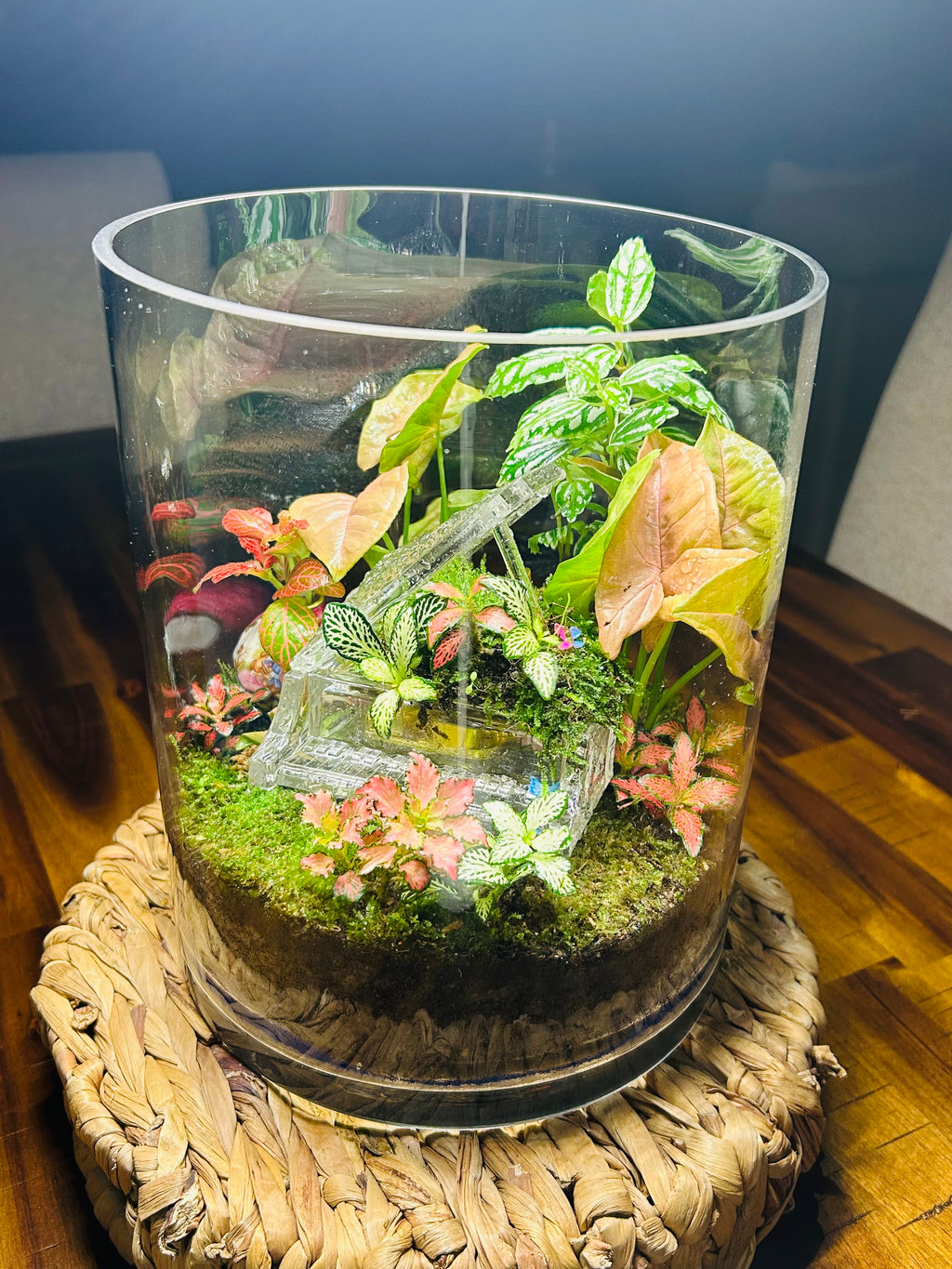 Melody of Time Terrarium