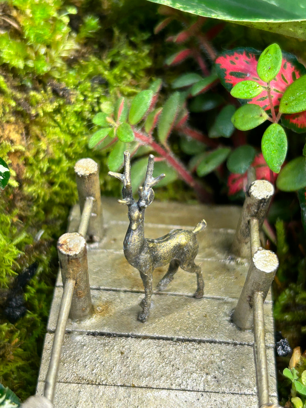 The Forest Crossing | Handmade Living Terrarium