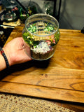 Mini  Buddha Terrarium –  Zen Decor with Glowing Pebble/ Handmade Sydney Gift