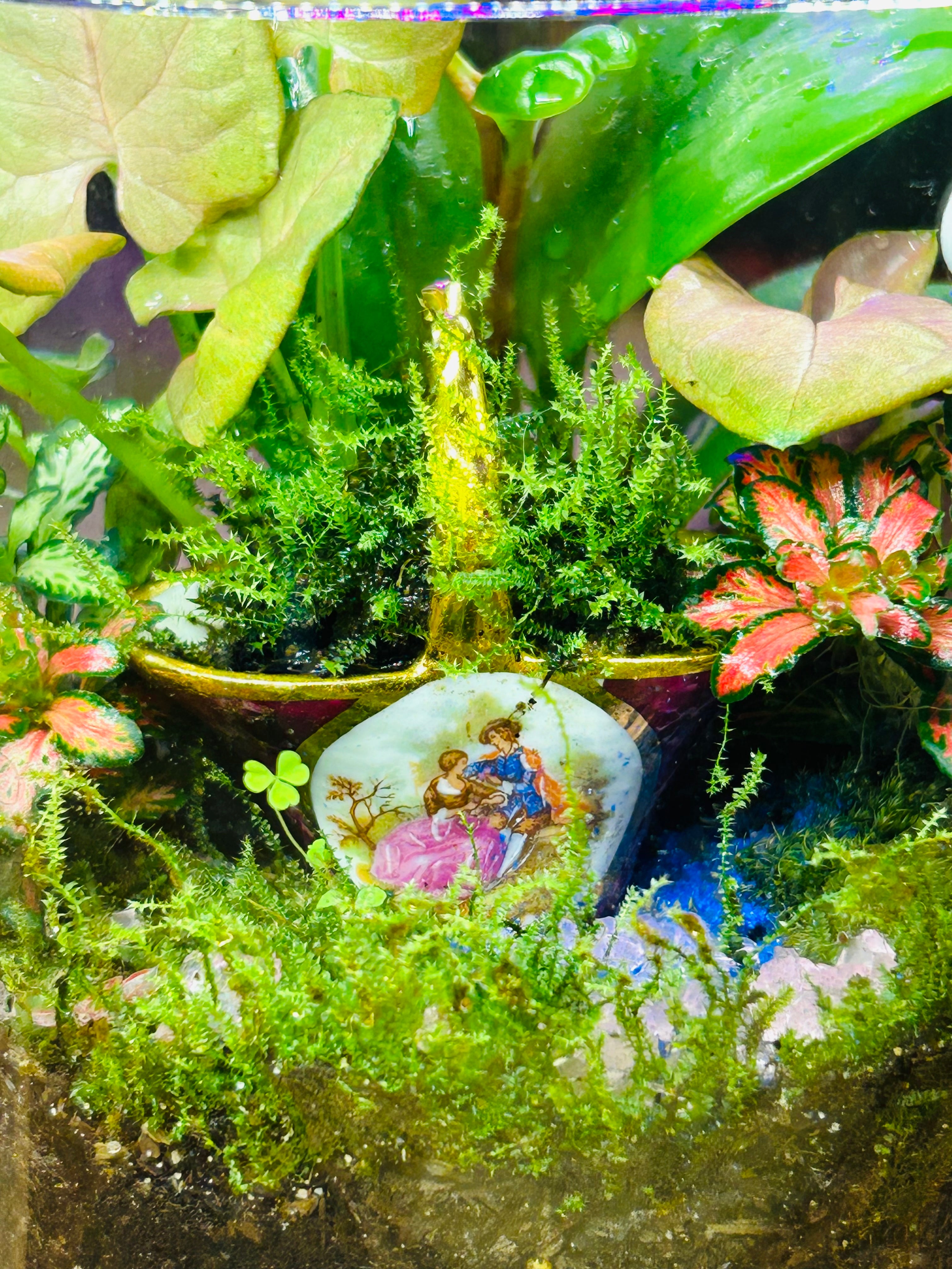 Antique Limoges Porcelain Basket Terrarium with Glowing Pink Pebbles