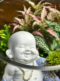 Joyful Buddha Garden – Handmade Living Terrarium