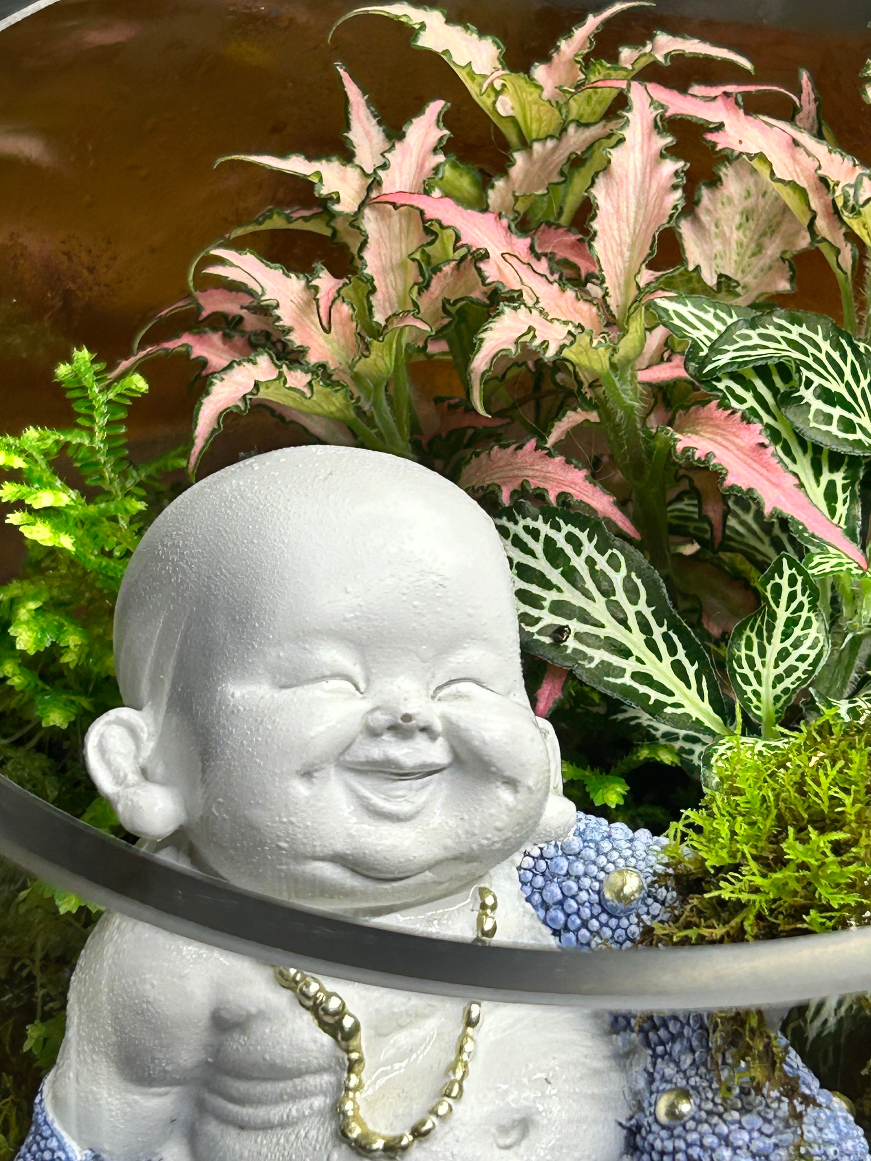 Joyful Buddha Garden – Handmade Living Terrarium