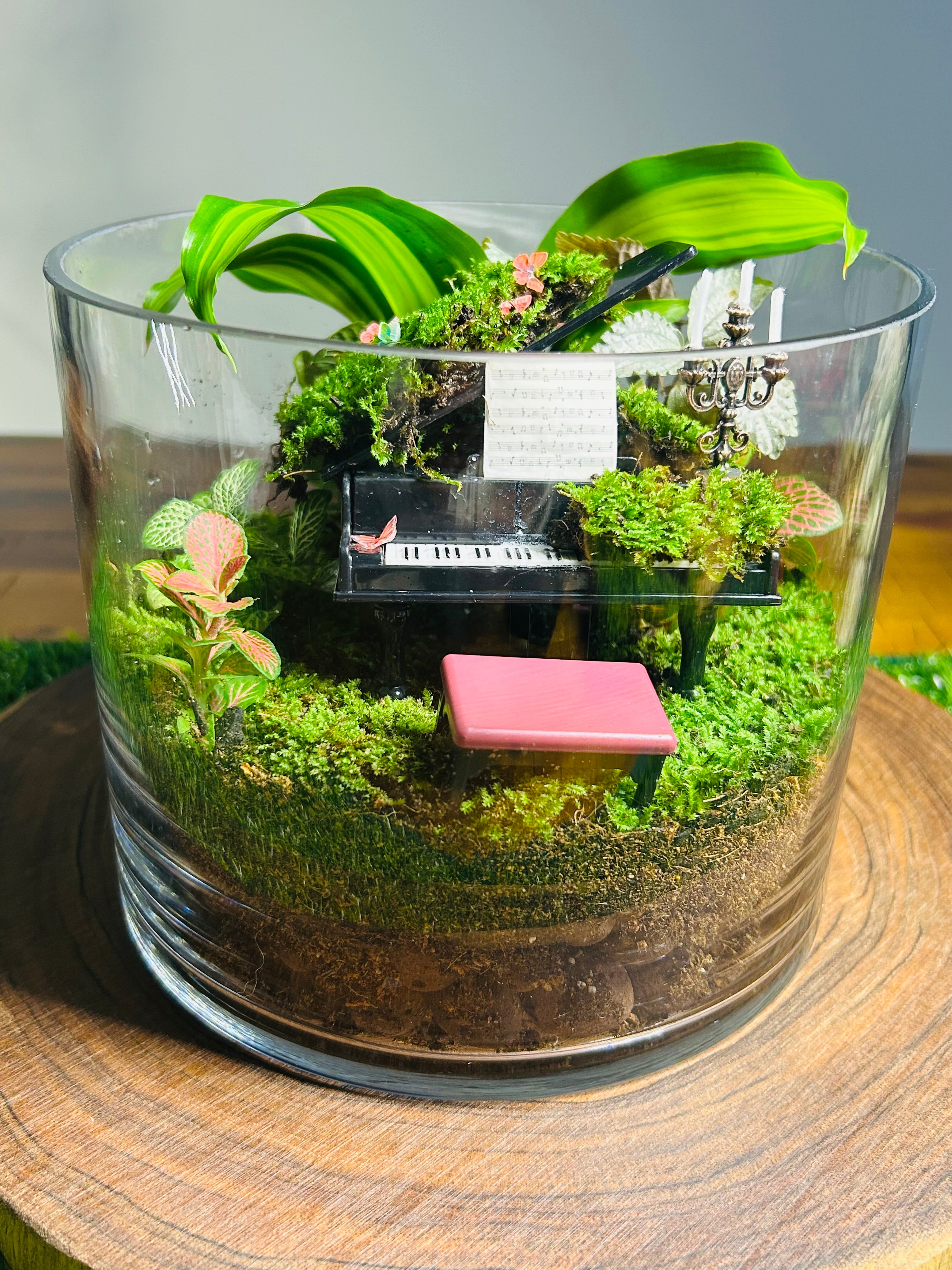 Nocturne de Vera – Piano Terrarium | Luxury Moss Garden Gift Sydney