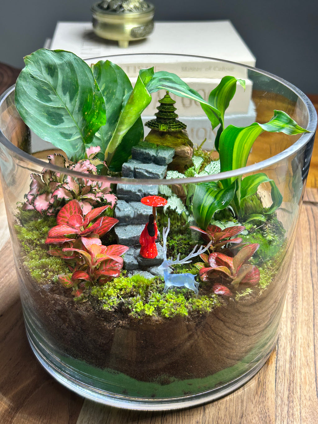 The Hidden Temple Journey – Lady in Red Terrarium