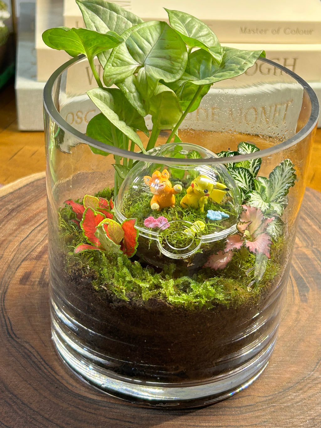 Hidden Forest Poké Ball Terrarium | Handmade Living Miniature World