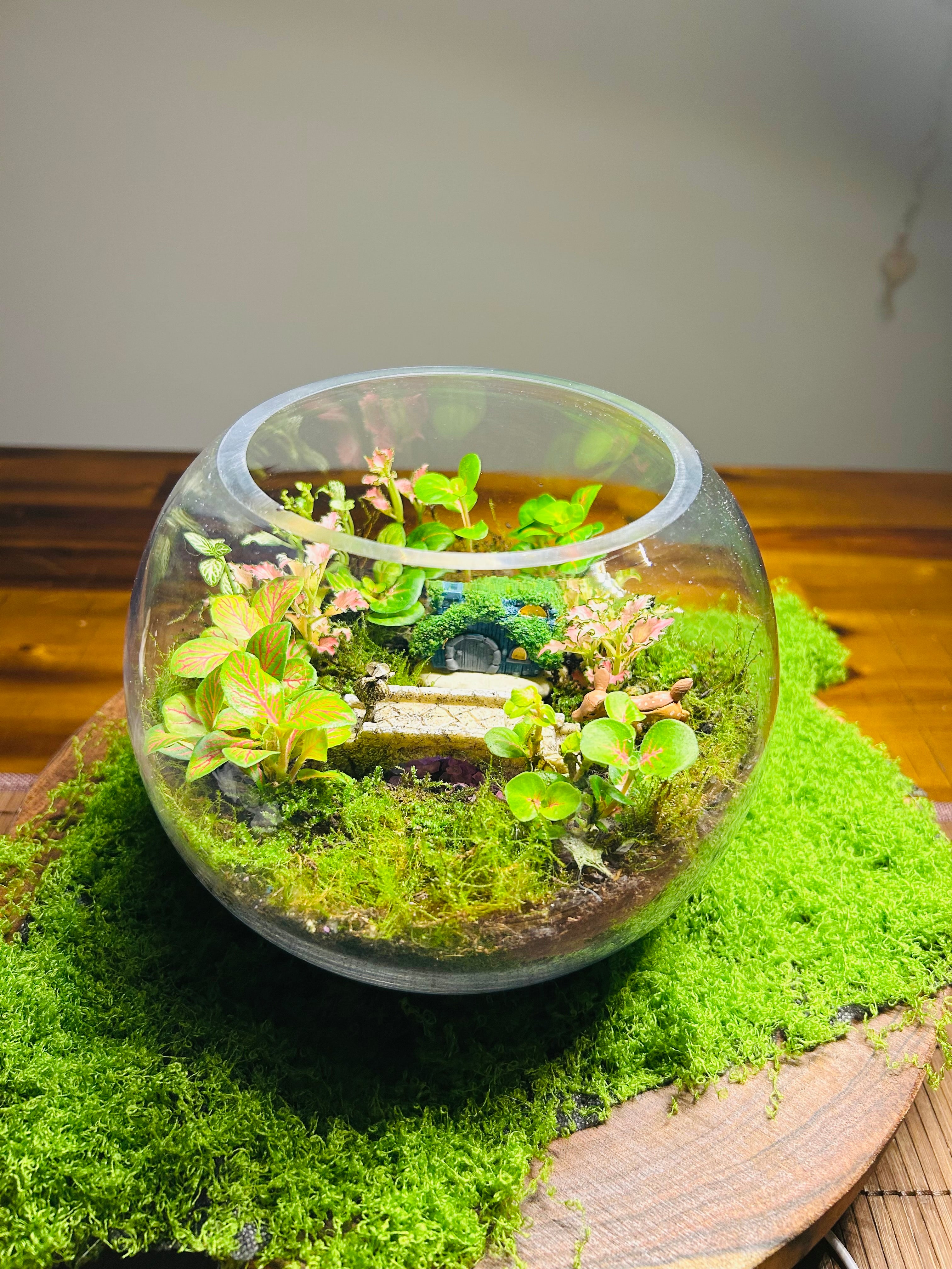 The Glowbridge Garden -Enchanted Glow Garden Terrarium – Miniature Fairy Bridge World with Living Plants