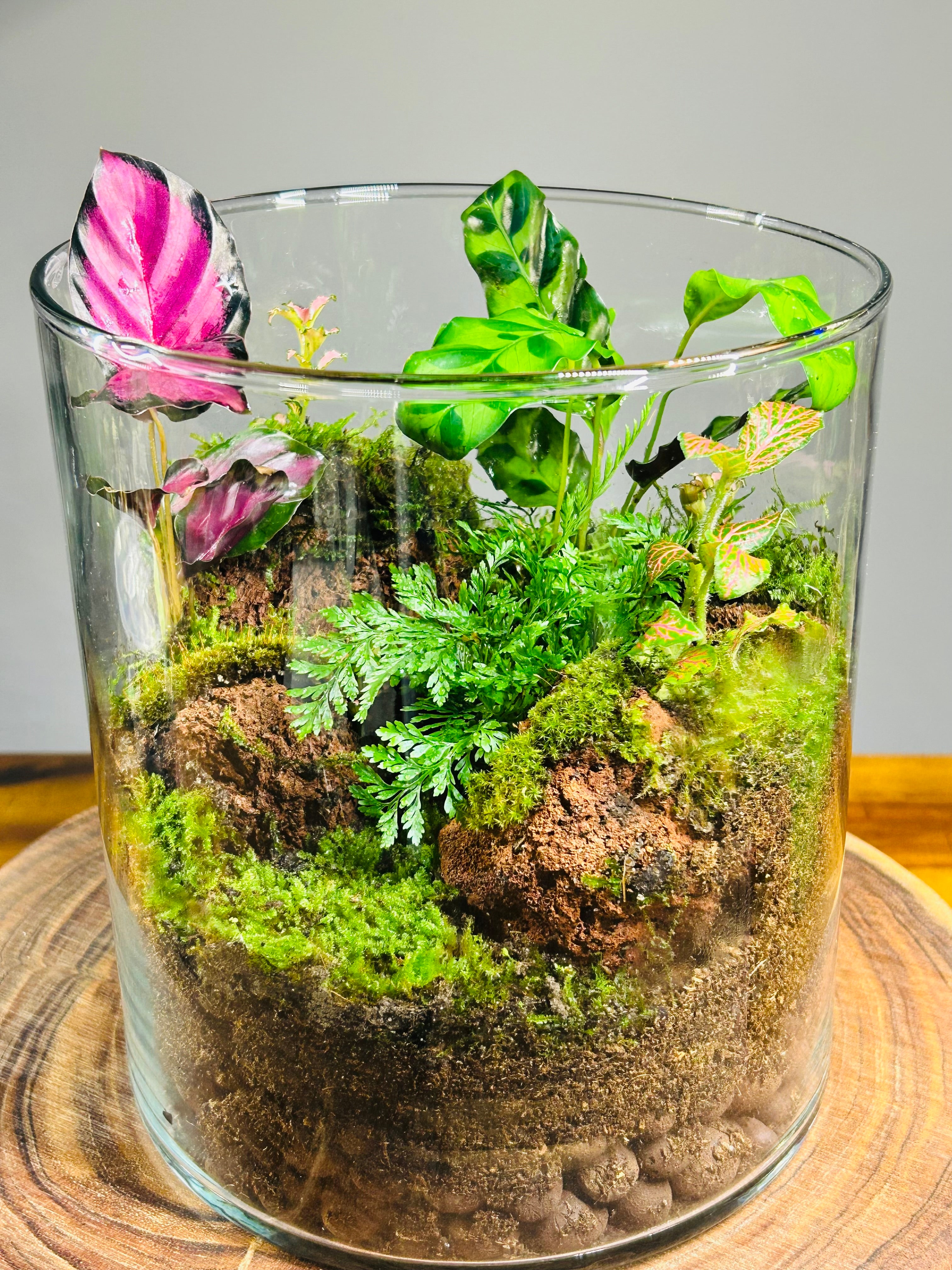 Custom Terrarium – Designed Just for You