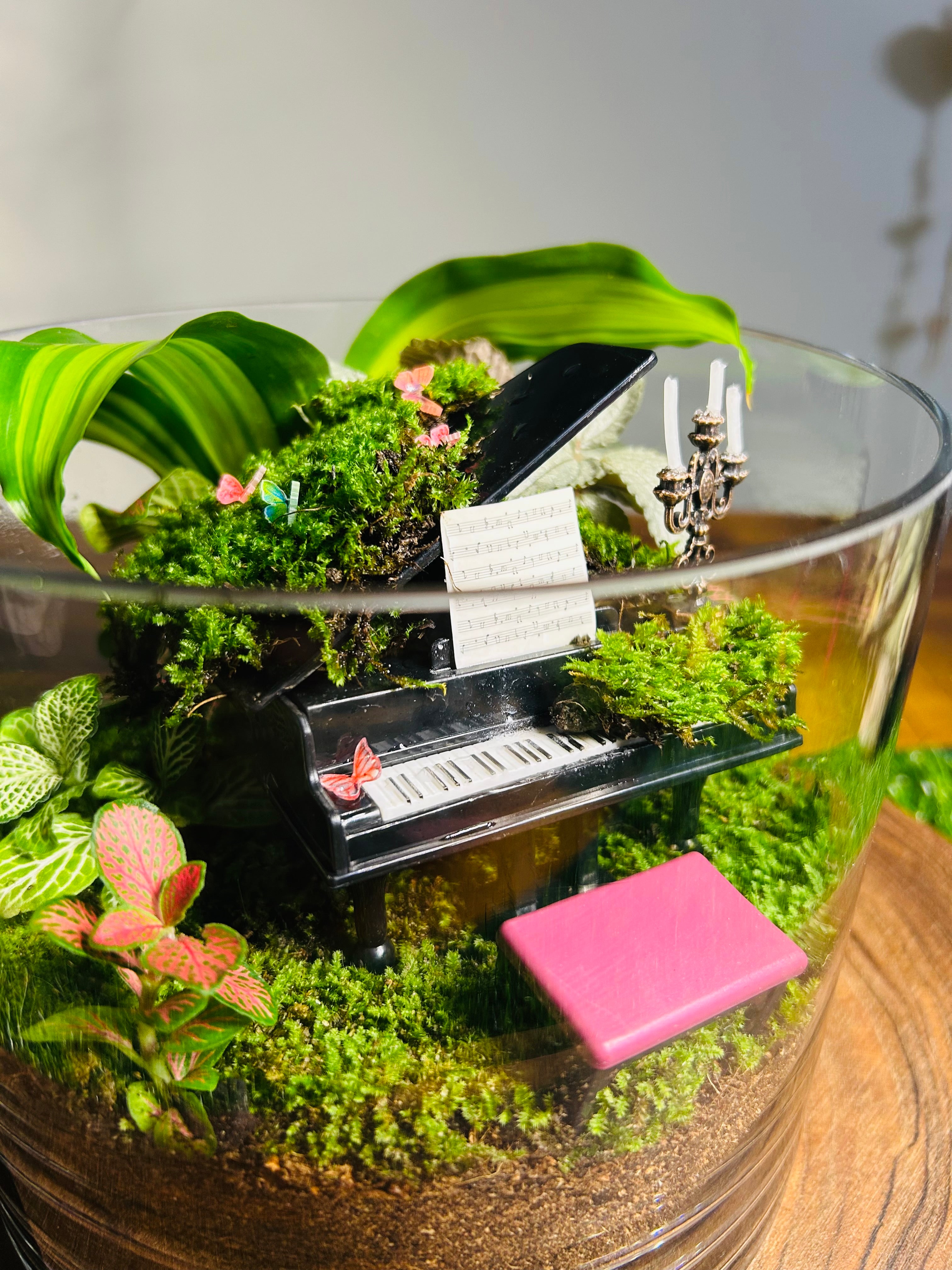 Nocturne de Vera – Piano Terrarium | Luxury Moss Garden Gift Sydney