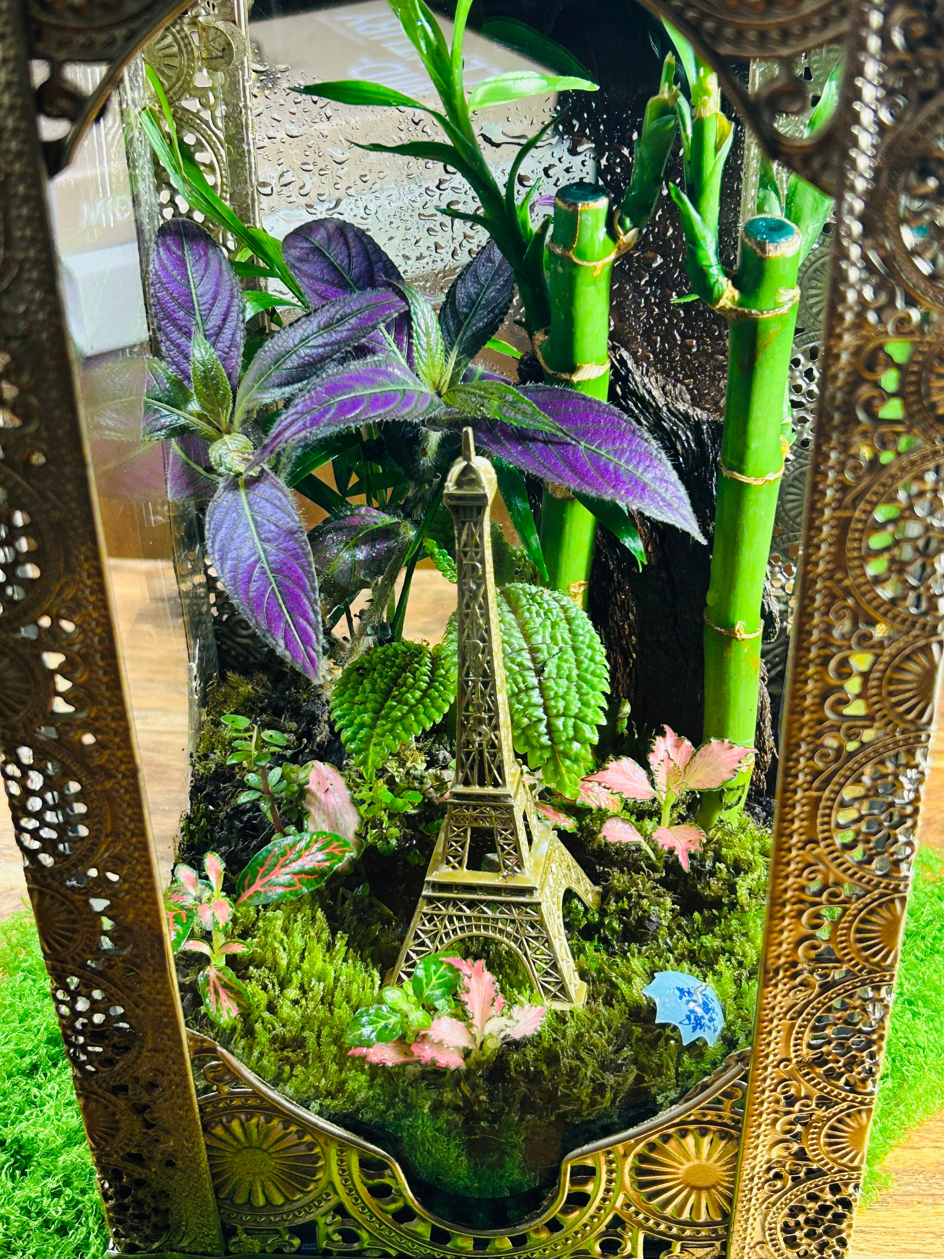 Paris in Bloom/Turkish  Lantern Open Terrarium
