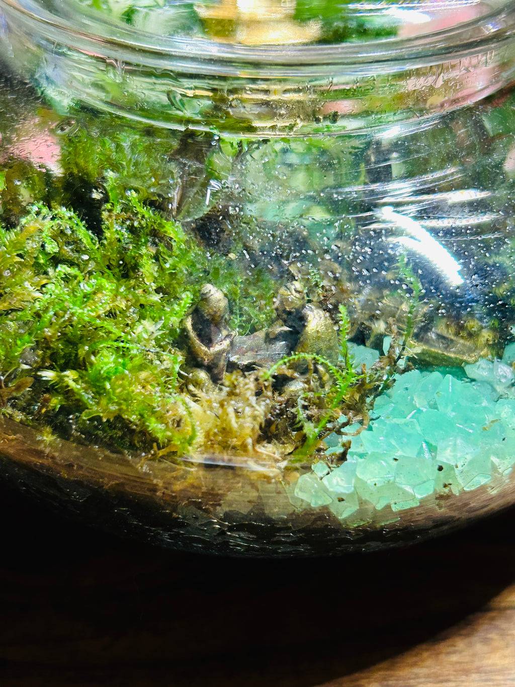 Glow in the Dark Butterfly Teapot with Temple & Boat Terrarium