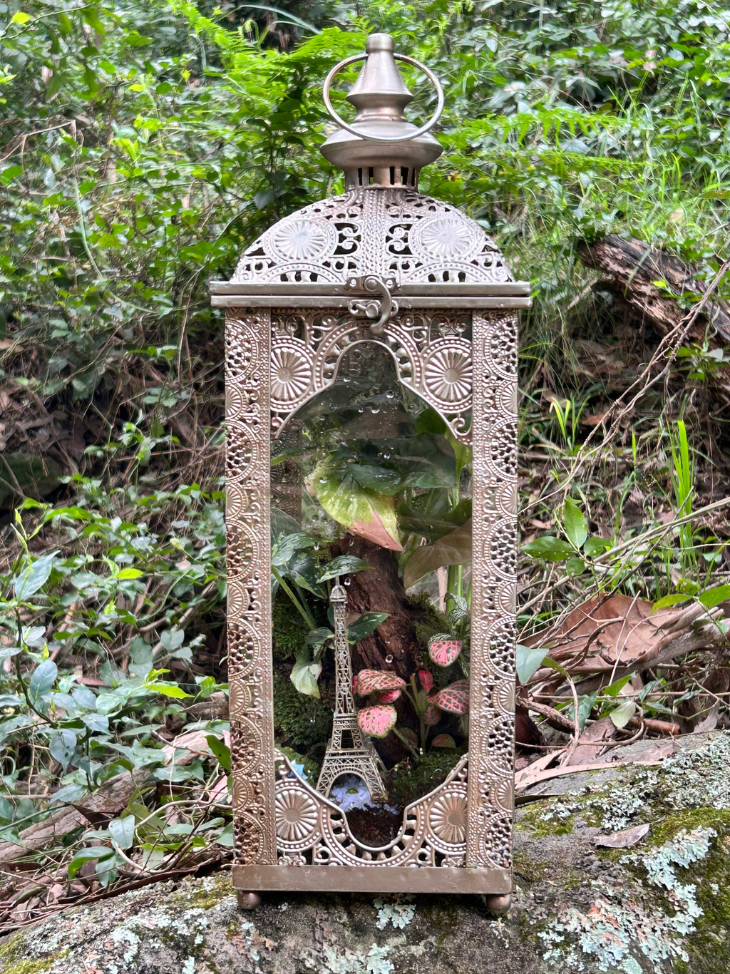 Paris Lantern Terrarium – Eiffel Tower Miniature Garden