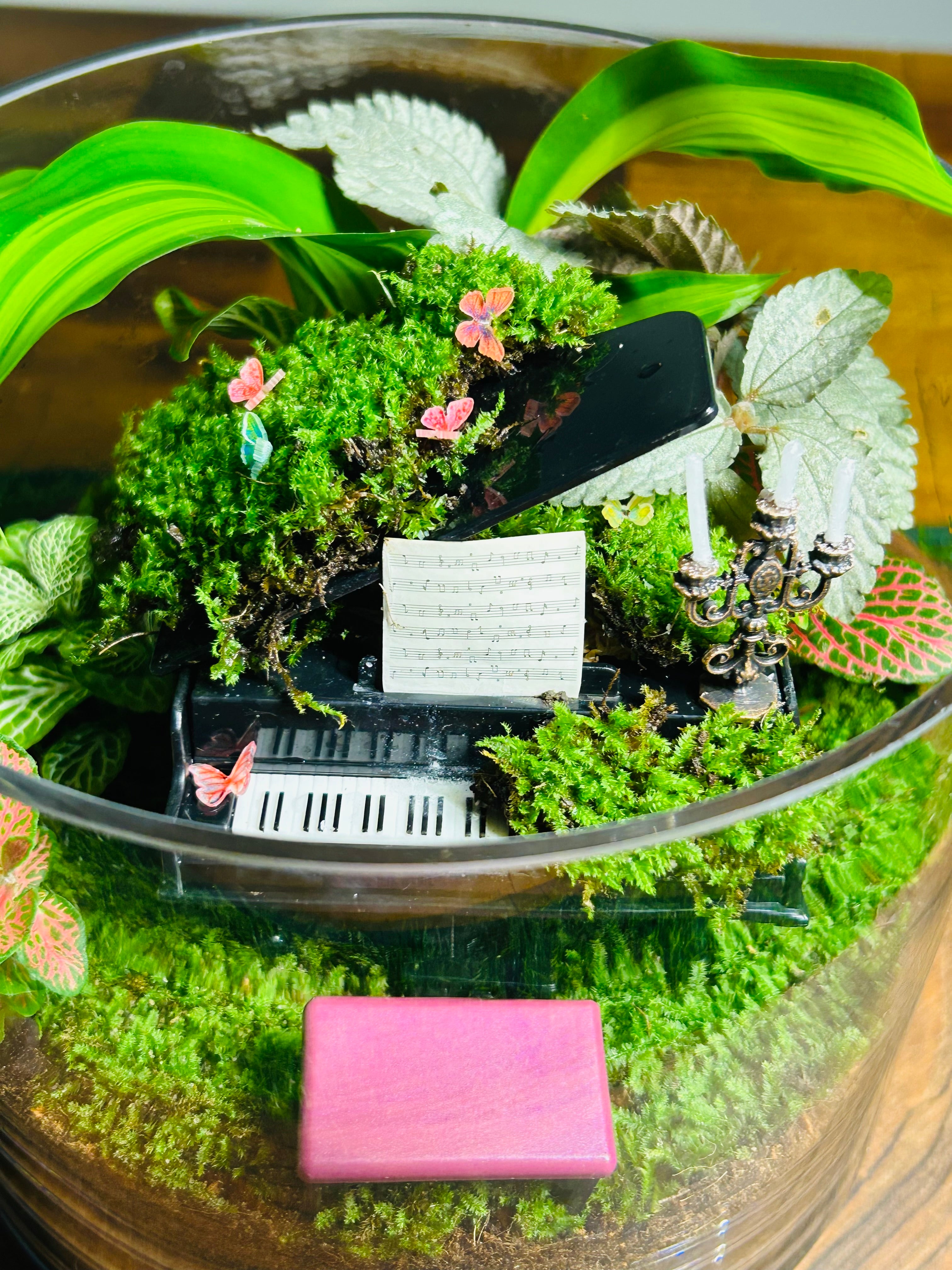 Nocturne de Vera – Piano Terrarium | Luxury Moss Garden Gift Sydney