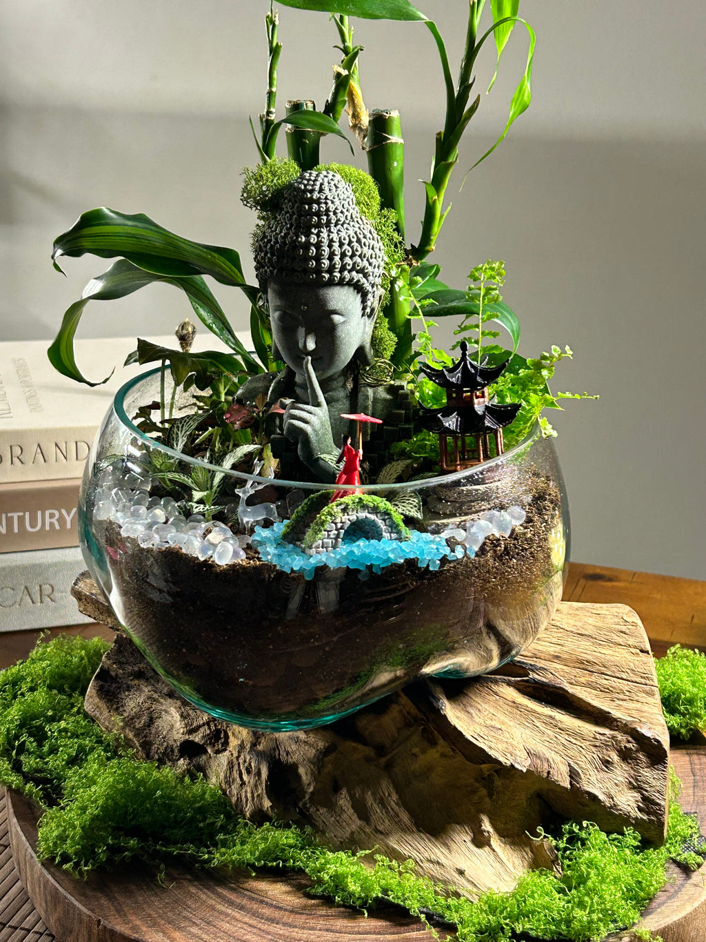 Buddha Terrarium -Zen Garden in Glass with Driftwood Handmade Sydney