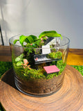 Piano Terrarium-Luxury Moss Garden Gift Sydney/ Handmade Miniature world