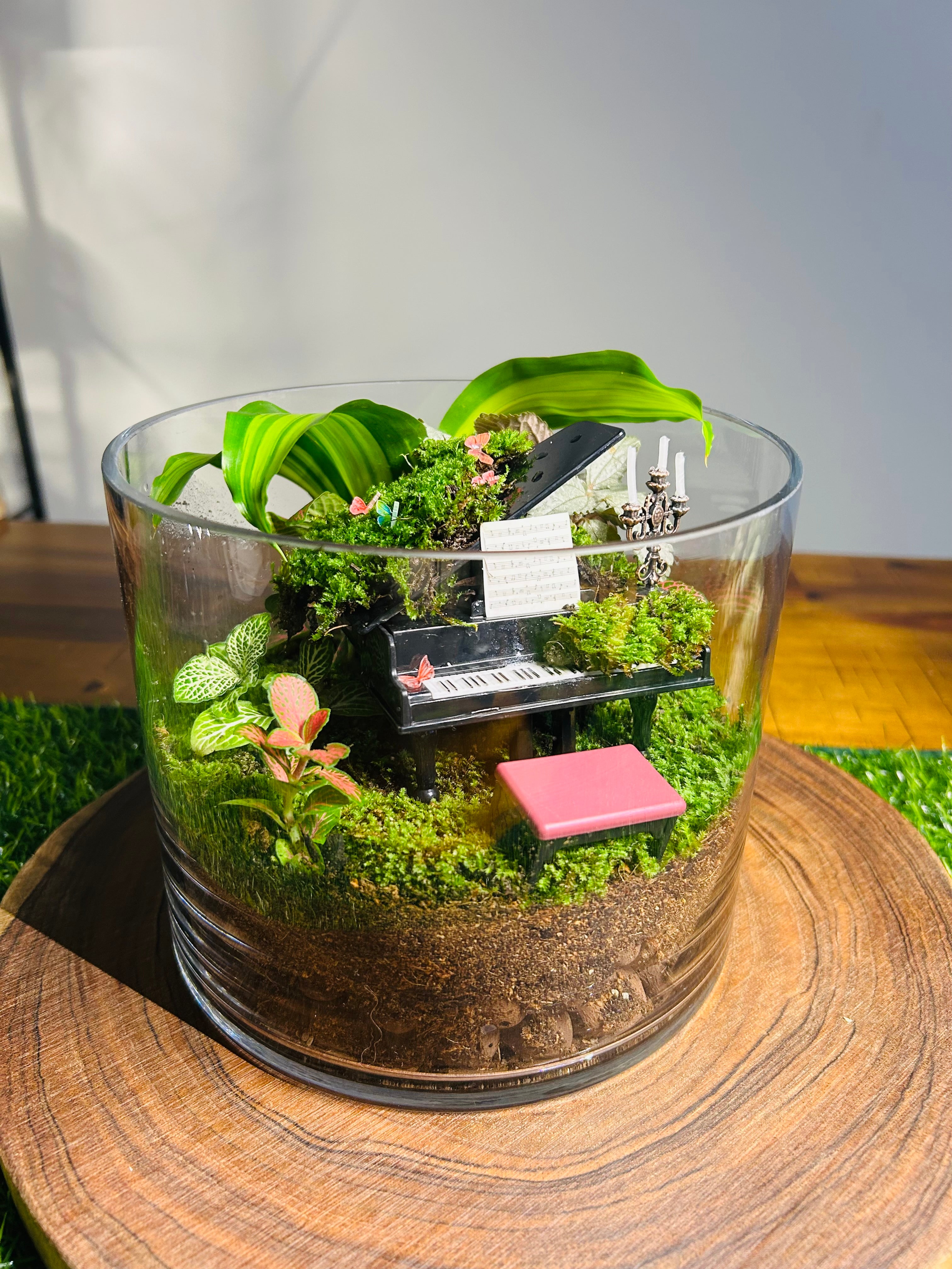 Nocturne de Vera – Piano Terrarium | Luxury Moss Garden Gift Sydney