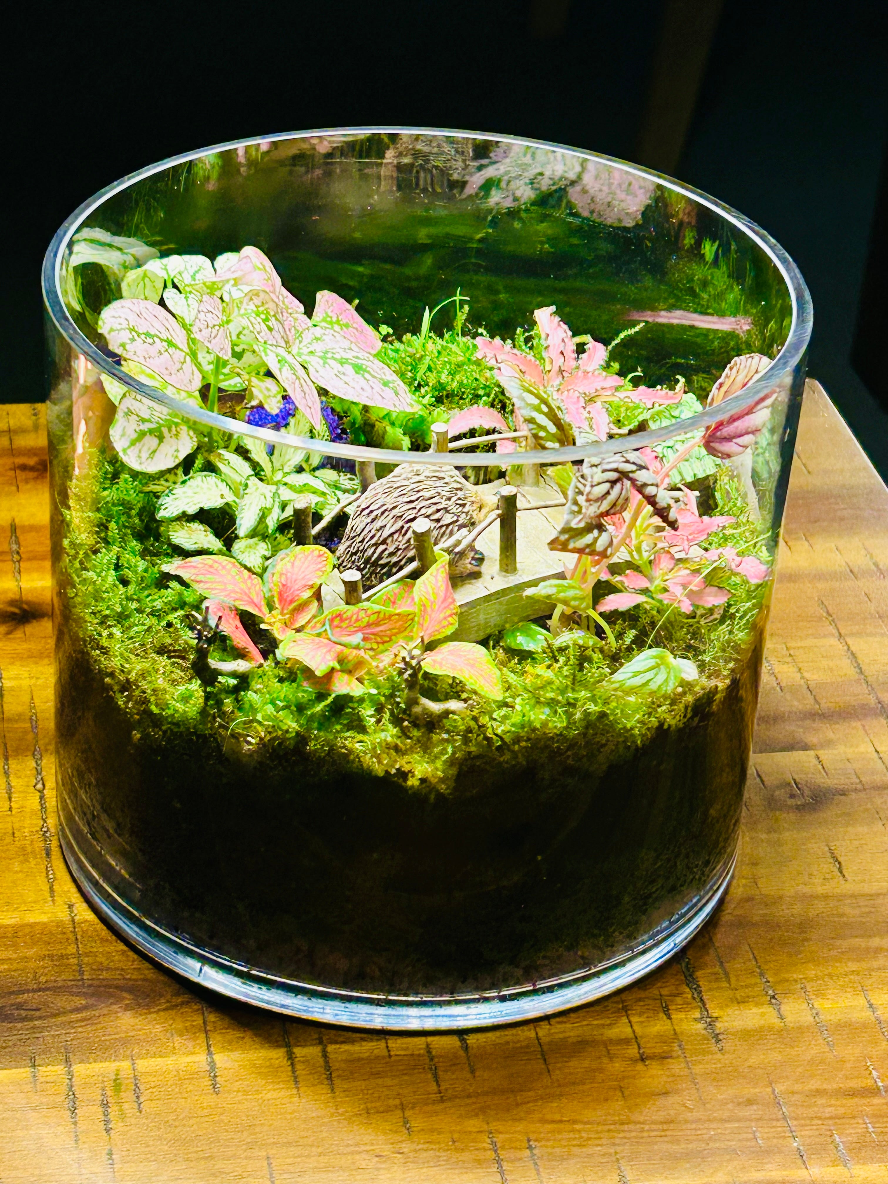 Golden Bridge & Cottage Terrarium