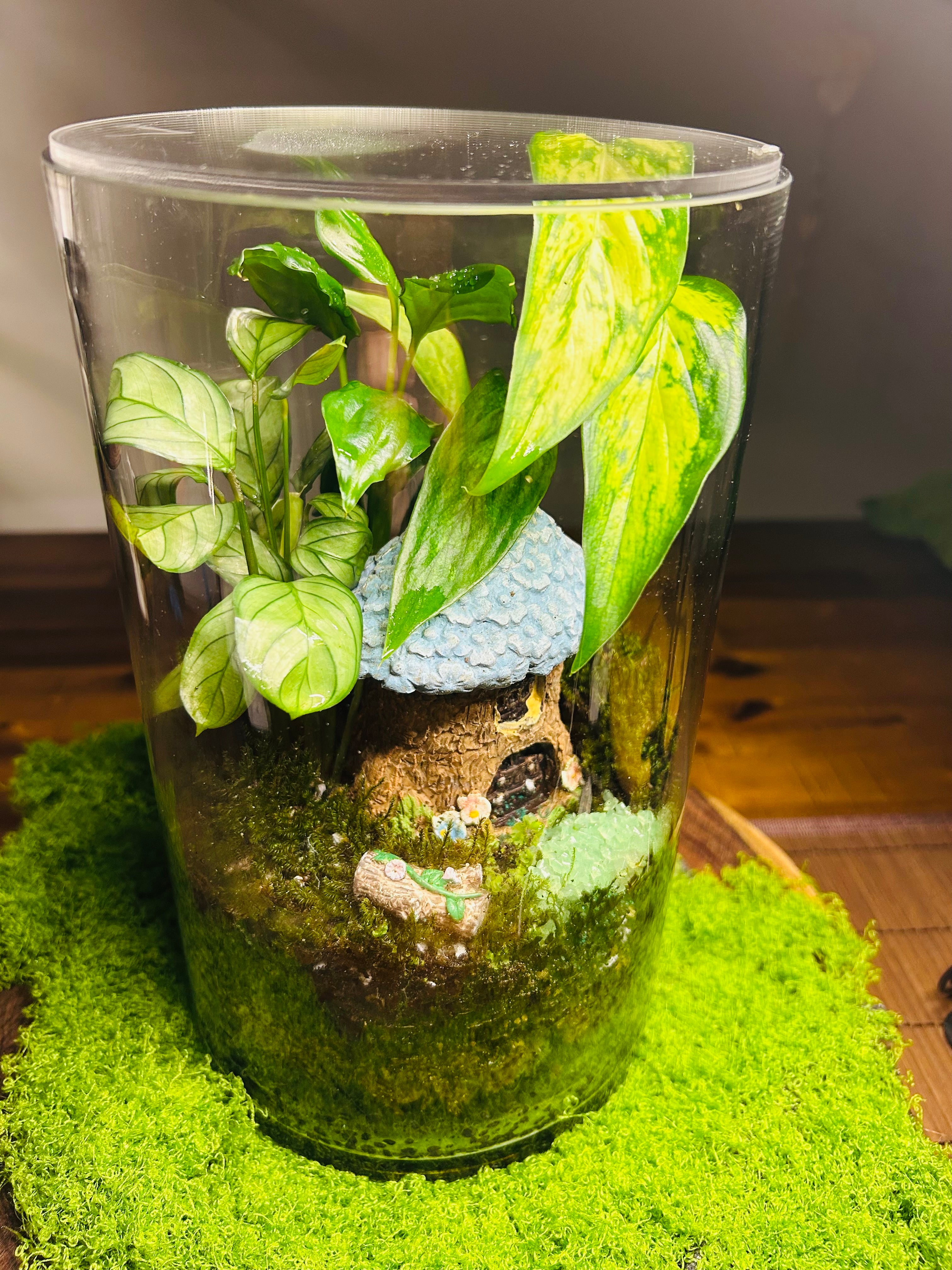 Glowing Cottage Terrarium- Handmade Miniature Garden with Glowing Pebbles Sydney