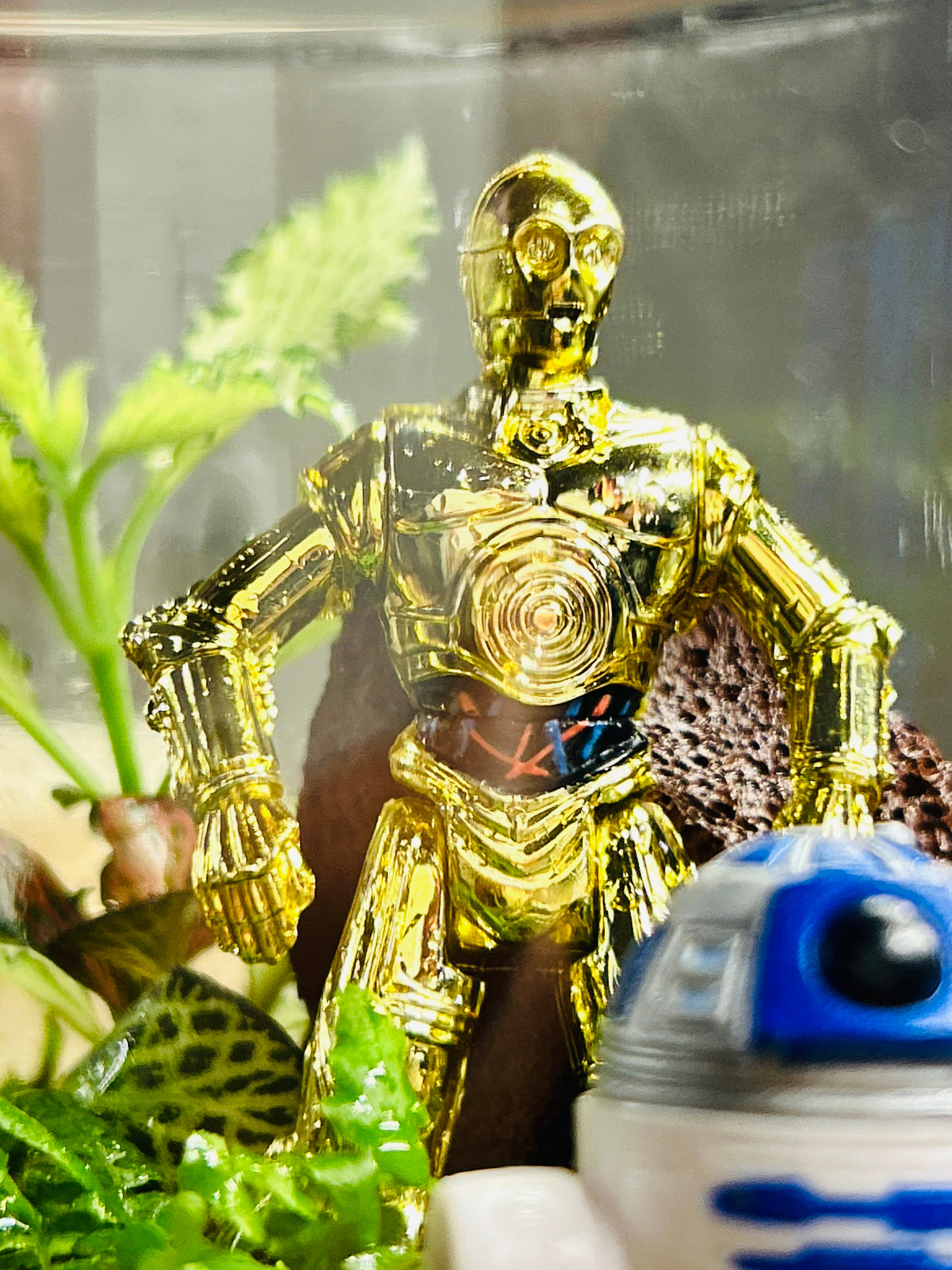 Galaxy Guardians: A Living Miniature World – Handmade in Sydney