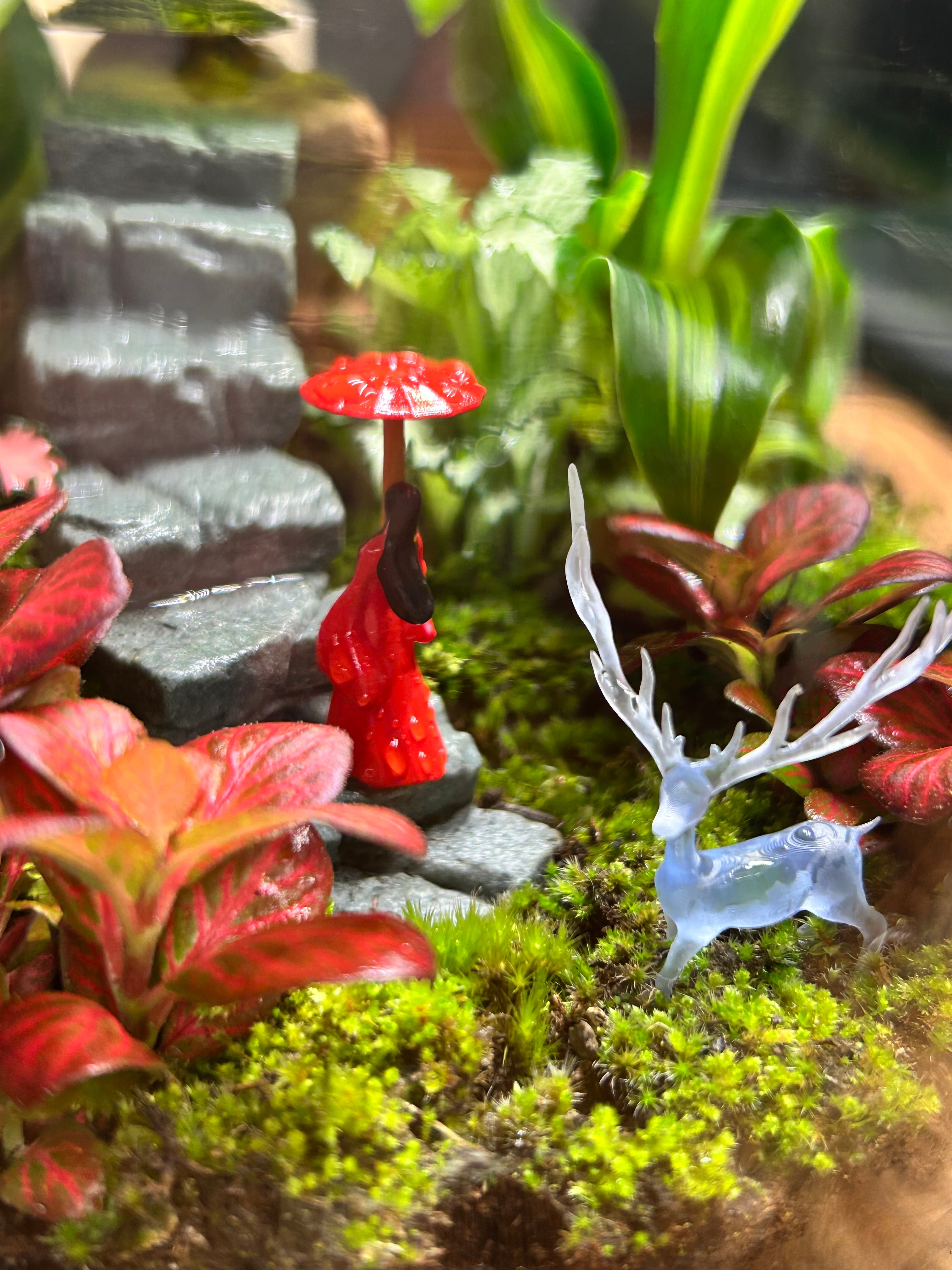 The Hidden Temple Journey – Lady in Red Terrarium