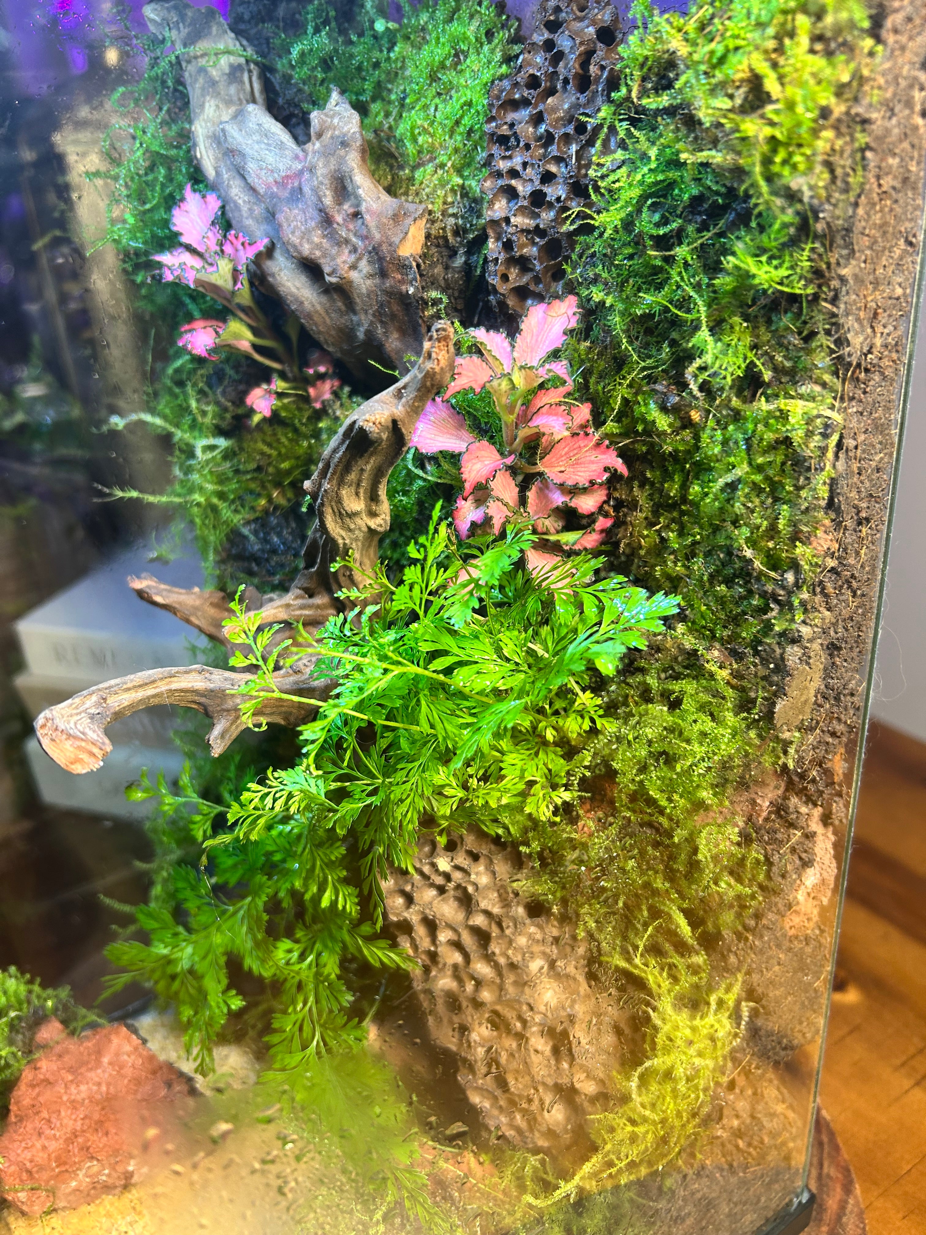 Second Life — Vertical Living Terrarium